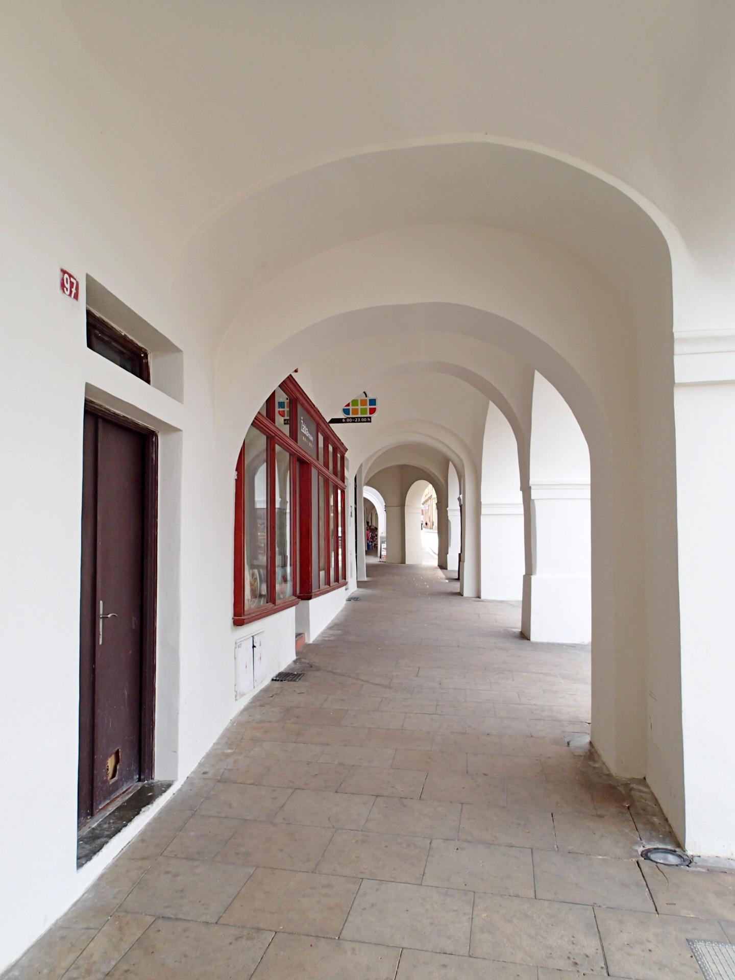 Žabka foto 1