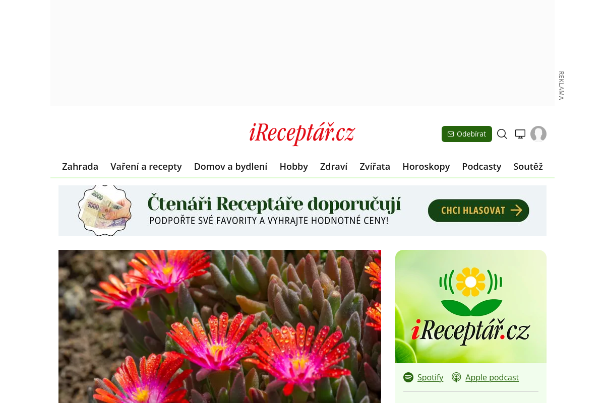 iReceptář.cz