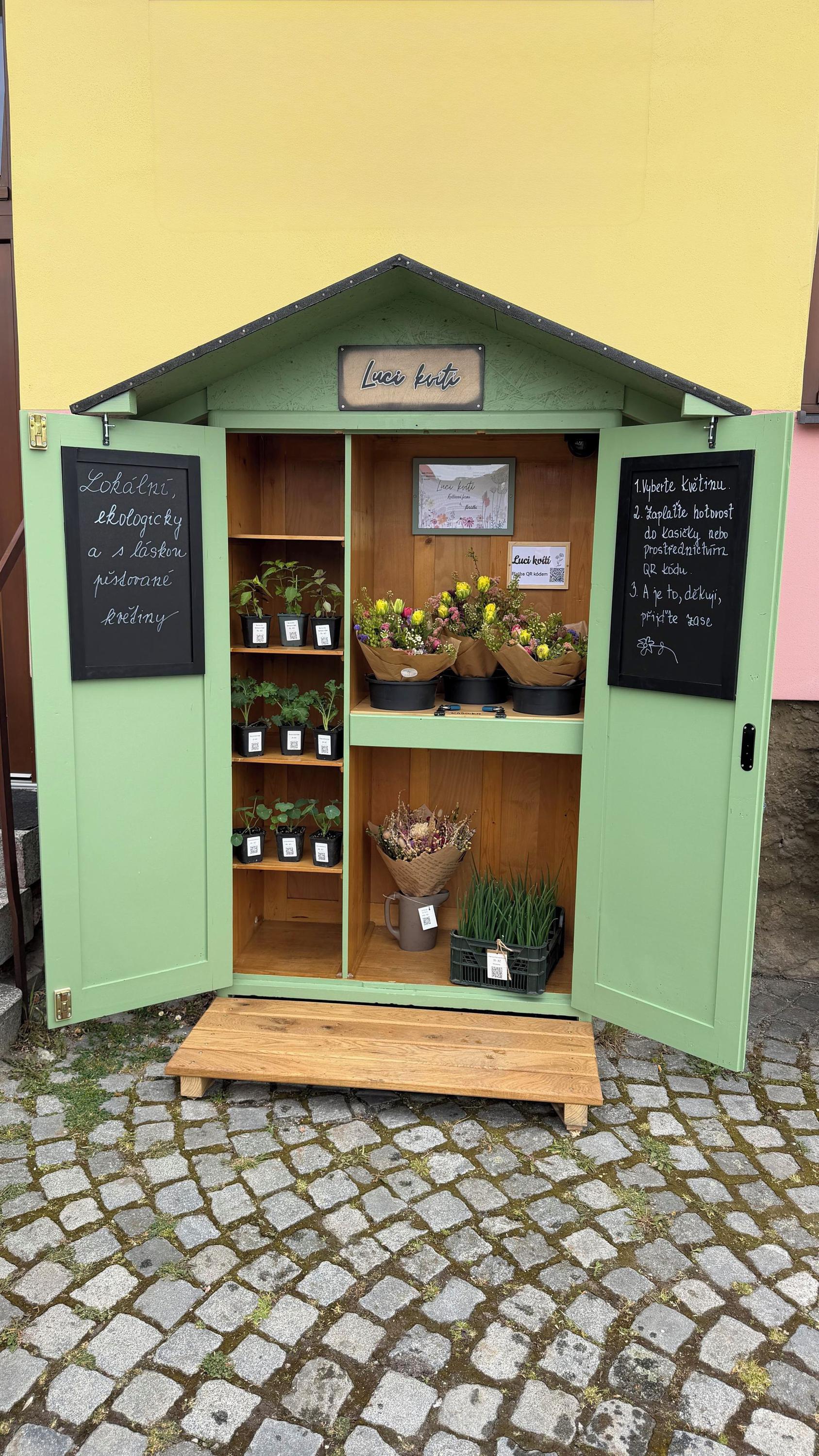 Kvítkomat Luci kvítí foto 2
