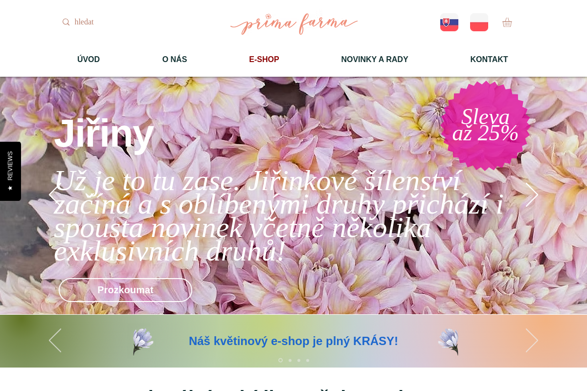 Prima kytky