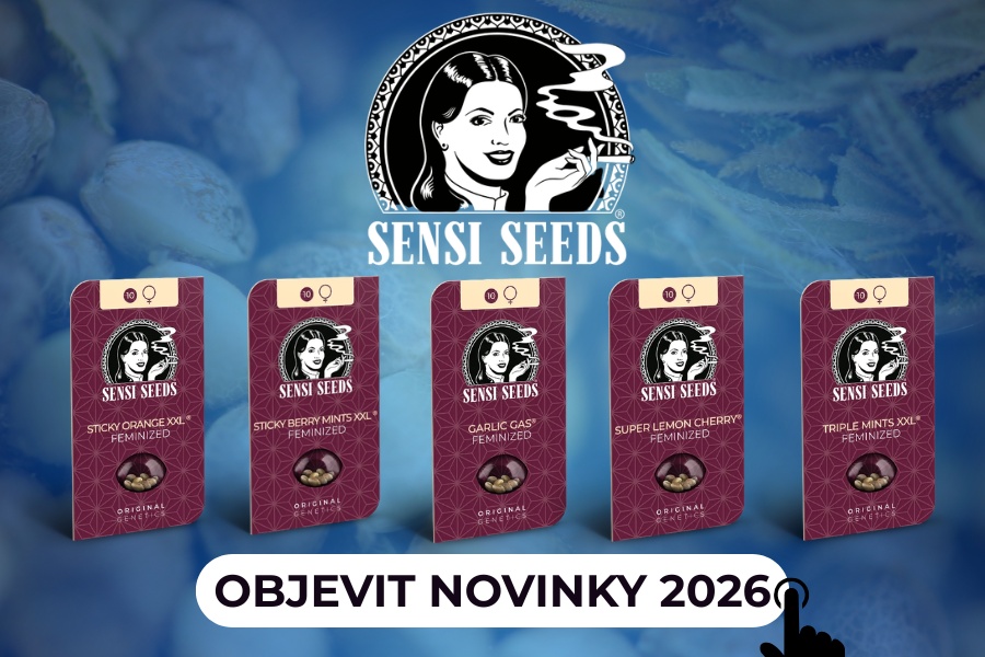 NOVINKY