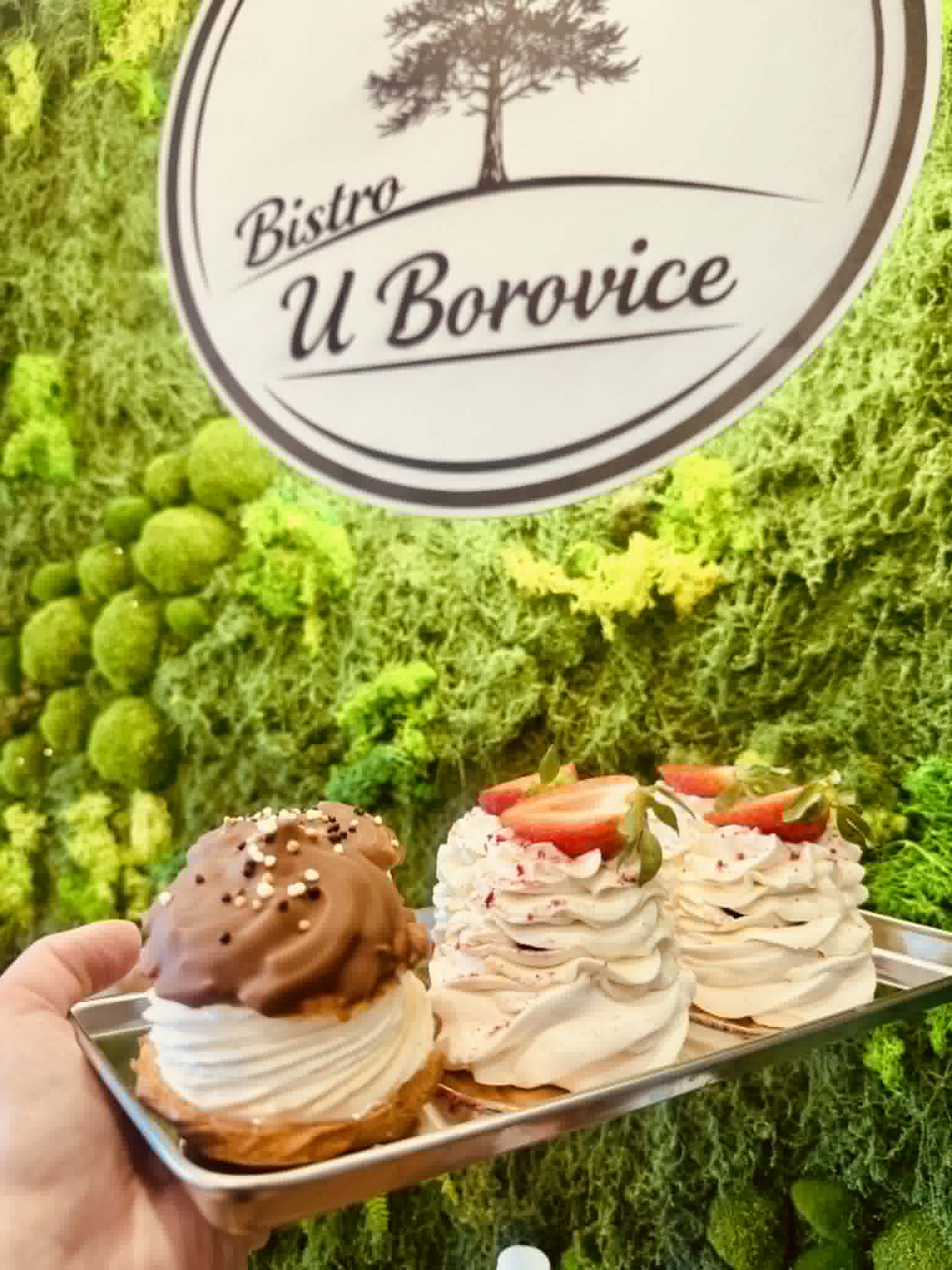 Bistro U BOROVICE