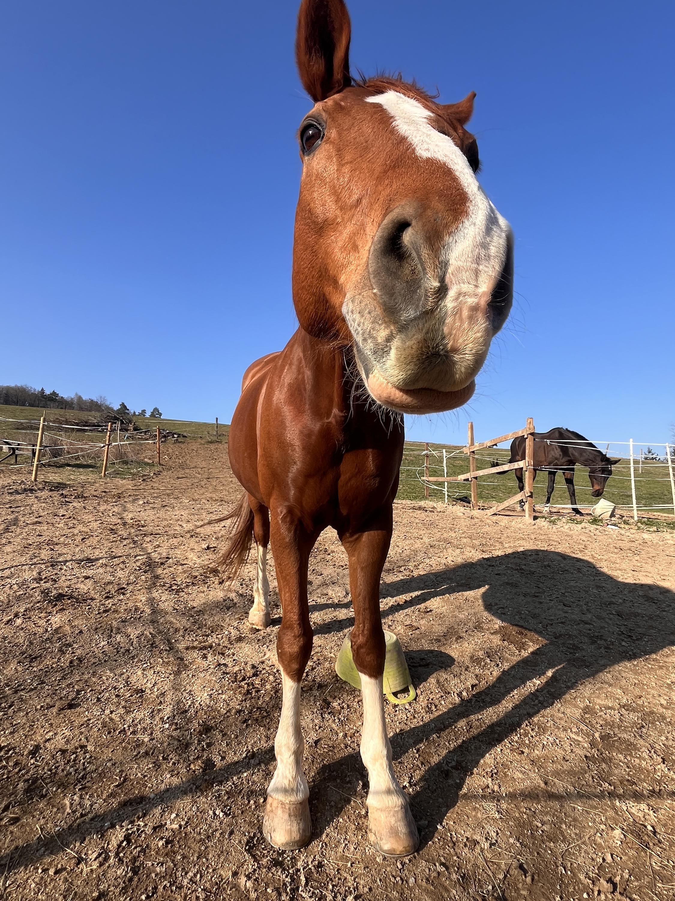 M&S ranch foto 5