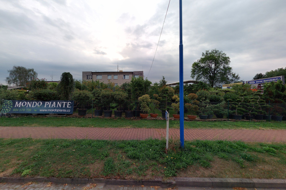 MONDO PIANTE
