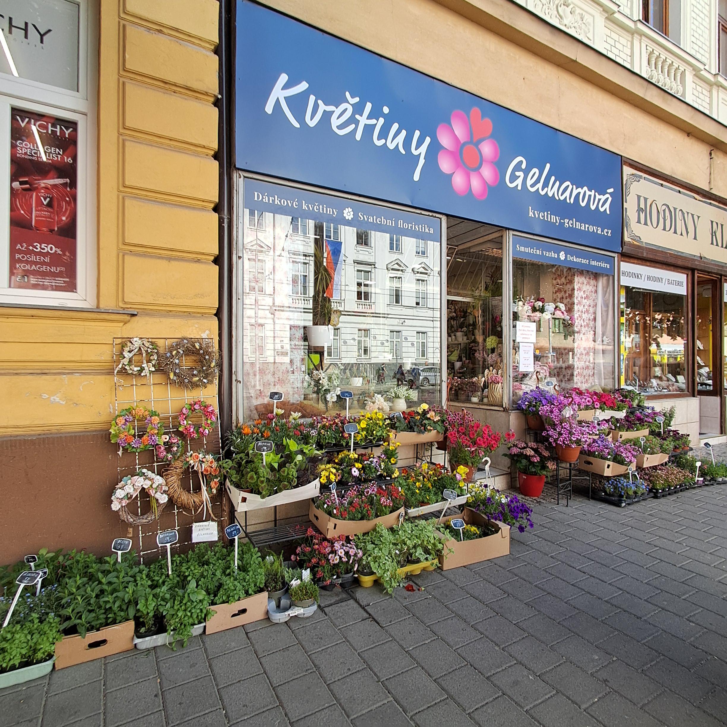 Kvetiny-gelnarova.cz foto 2