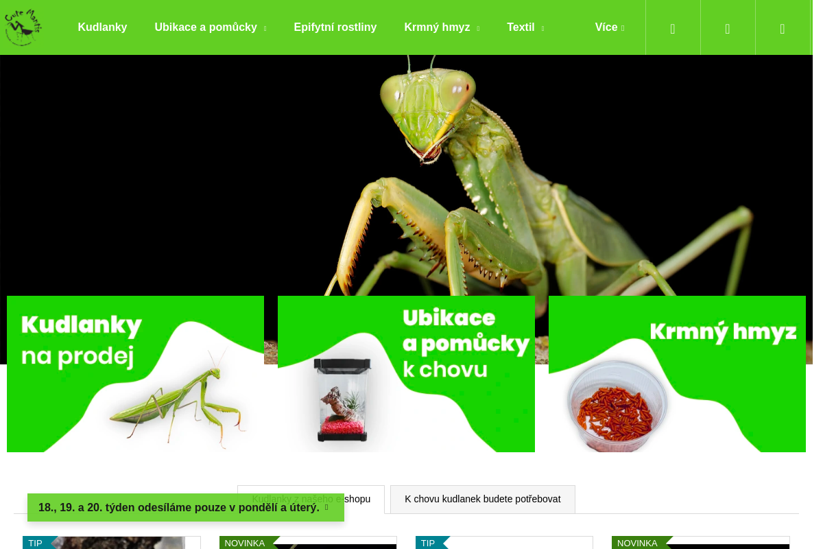 Cutemantis.com