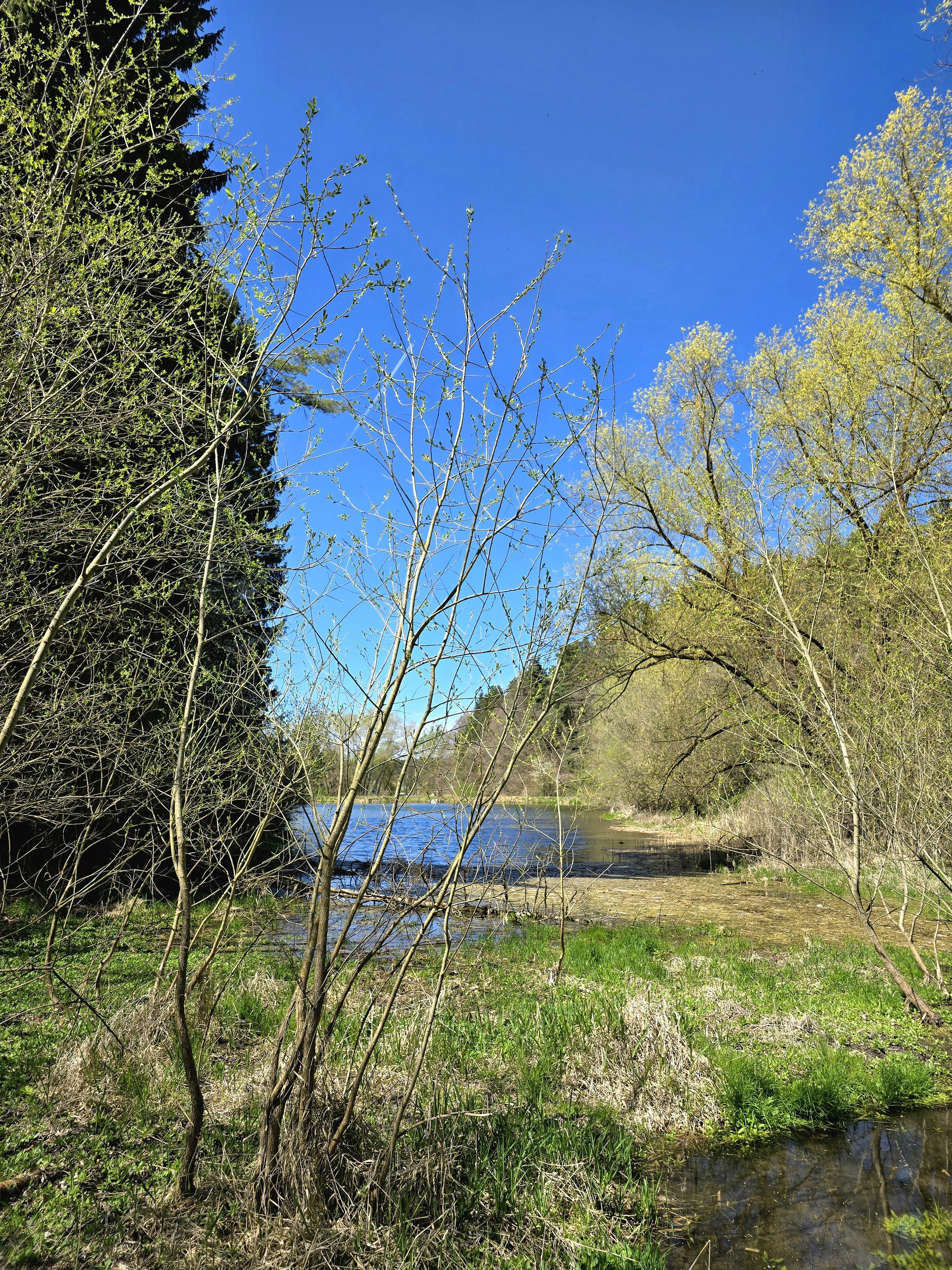 Koupaliště Radomyšl foto 3