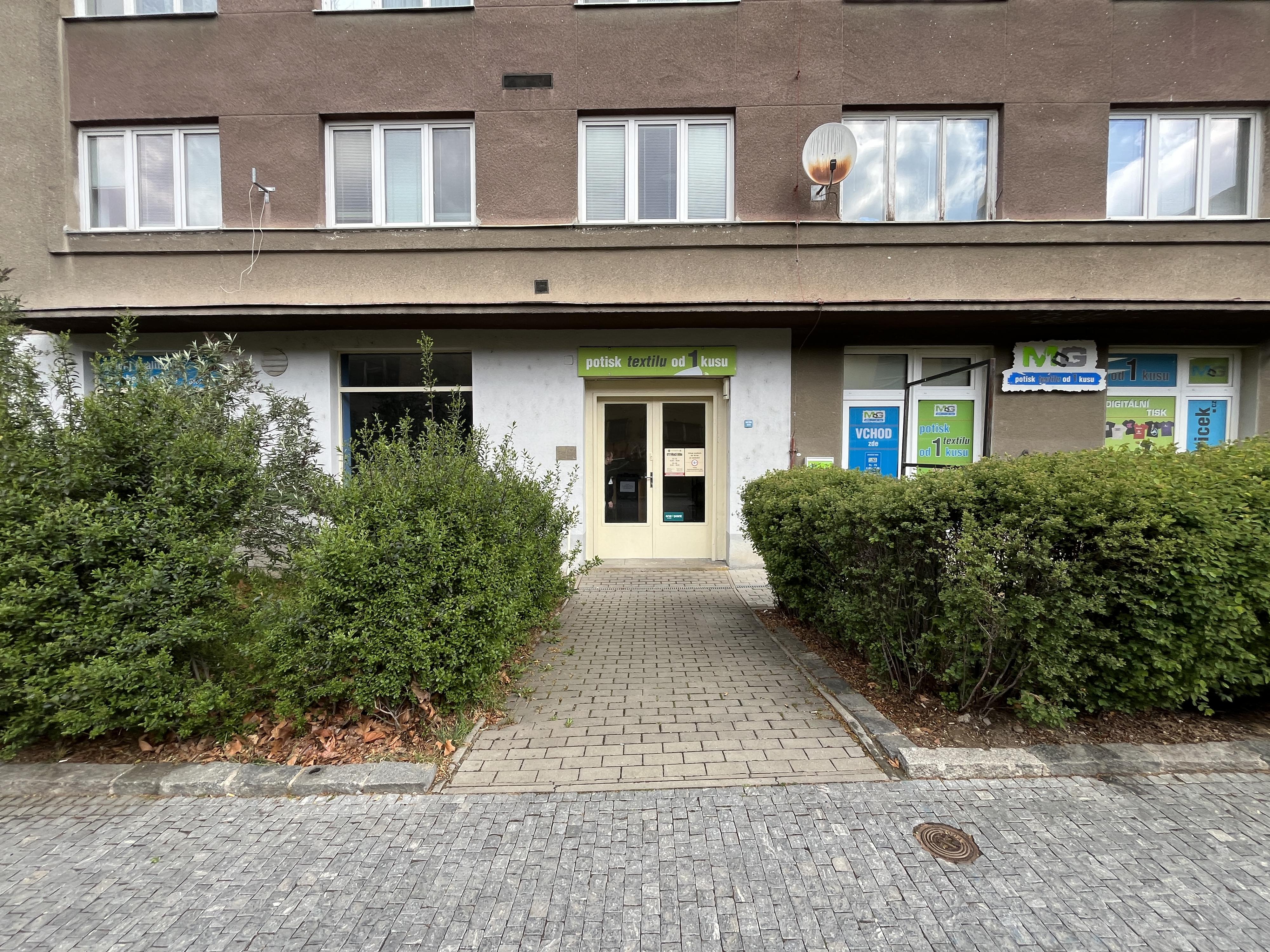 VivaDzen