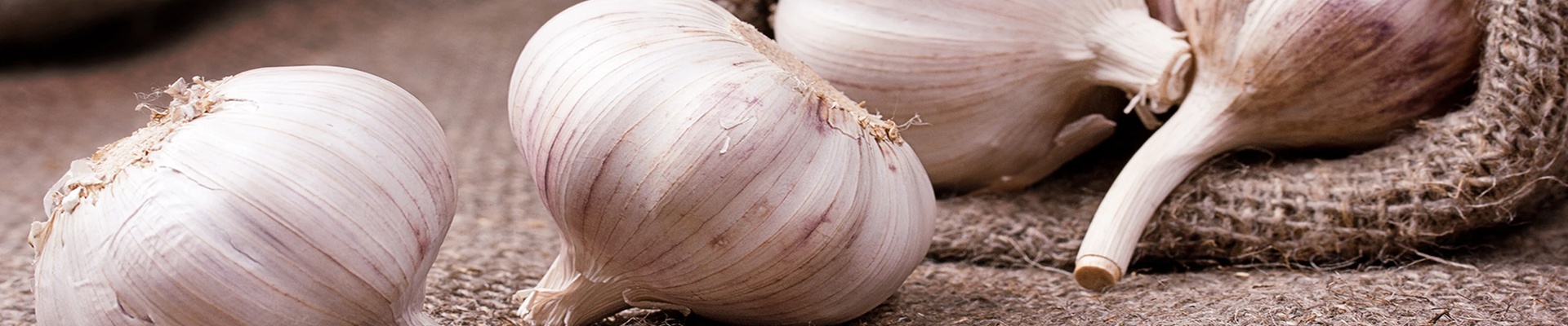 Cover image Farma Kala