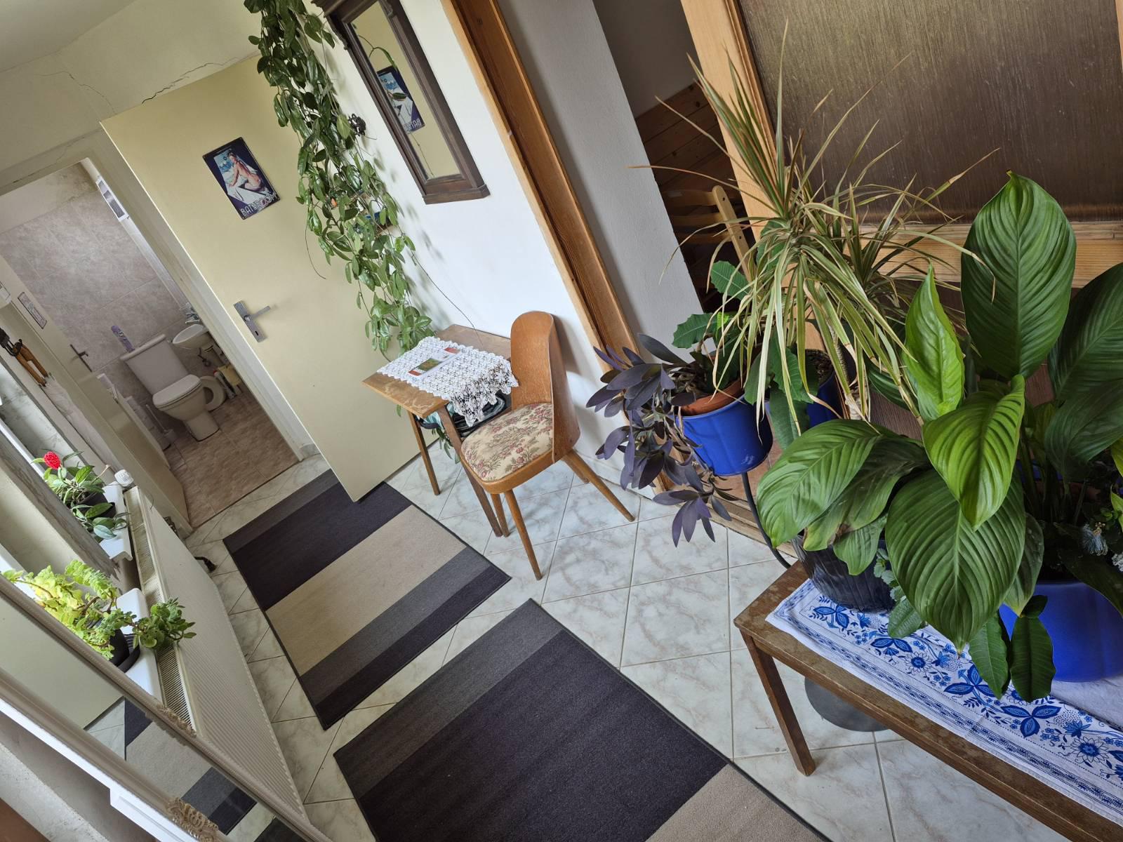 Apartmán u Micky foto 6