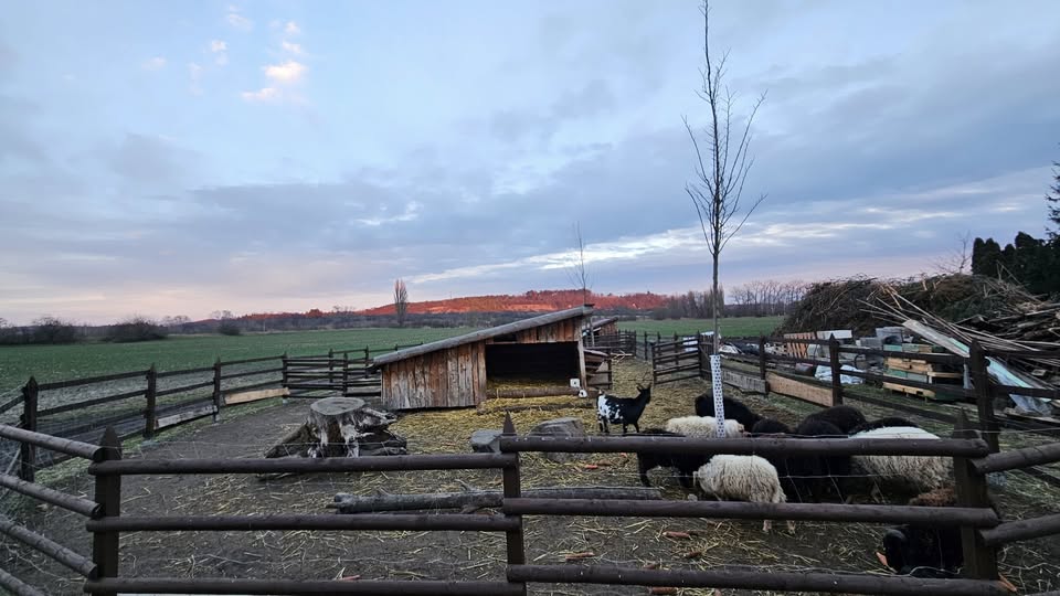 Dvorecký statek foto 6