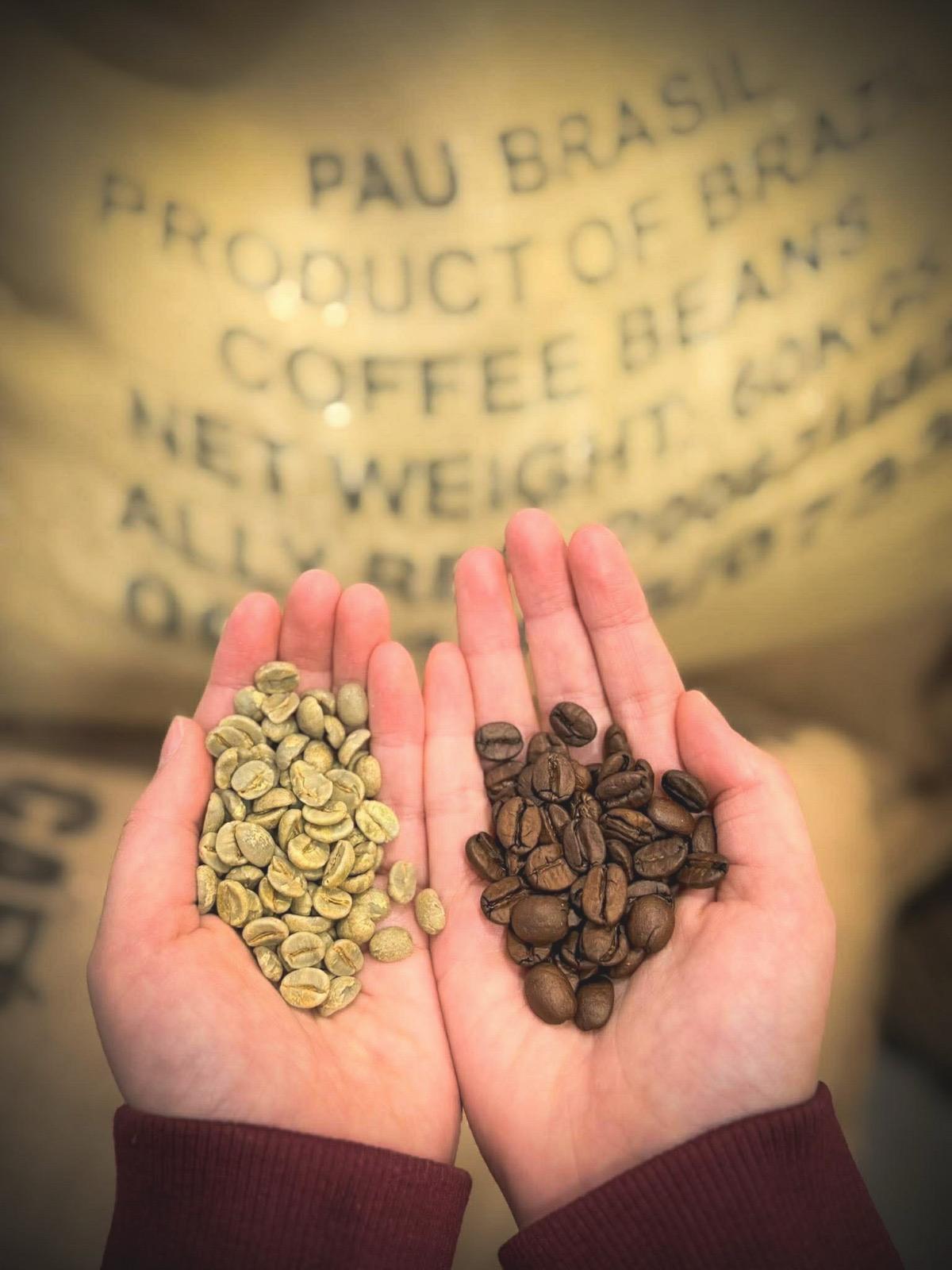 Pulse Coffee Roastery foto 2