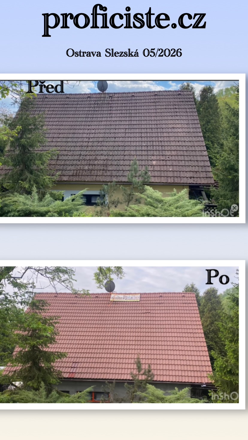 Proficiste.cz foto 3