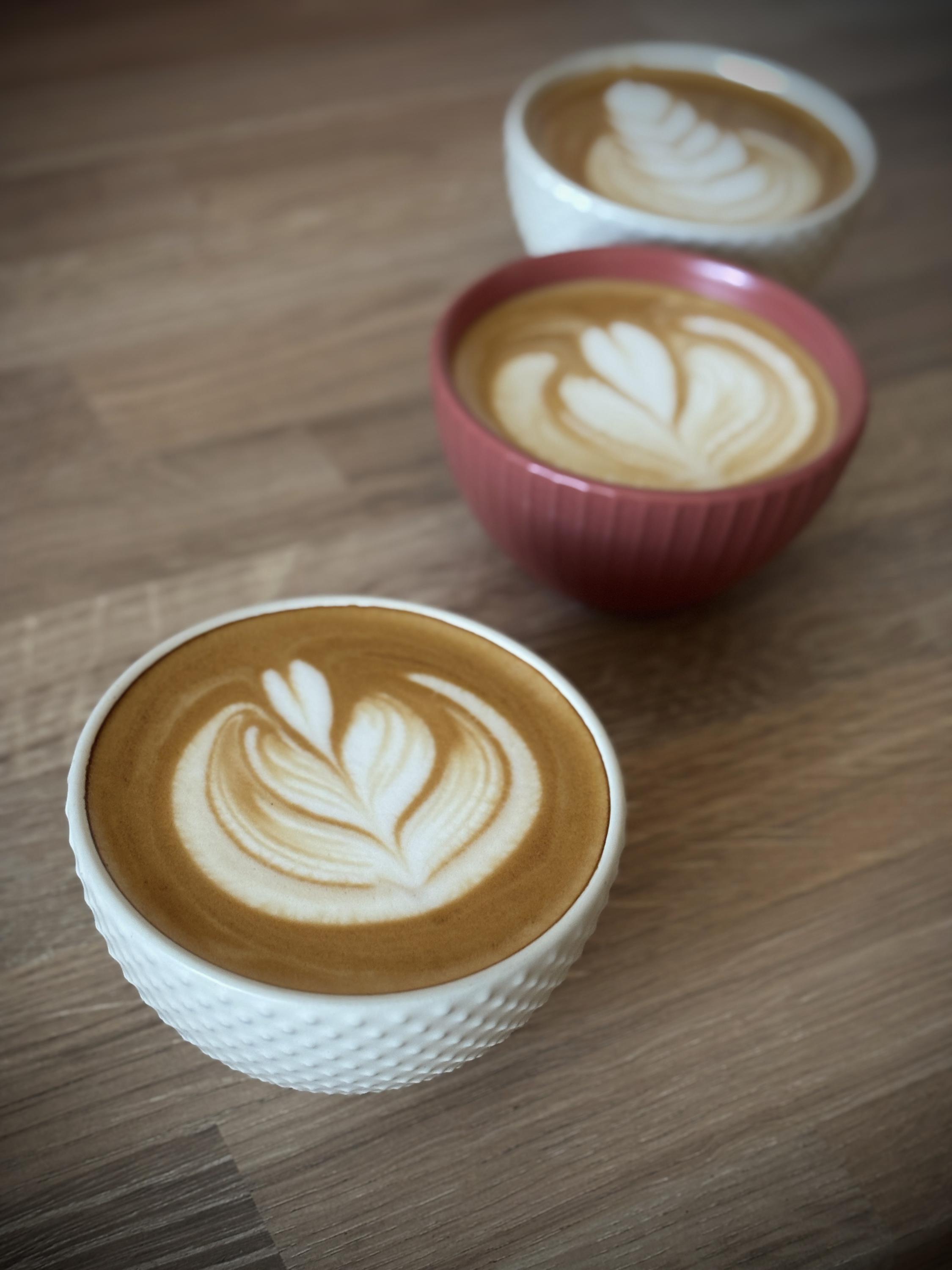 Pulse Coffee Roastery foto 1
