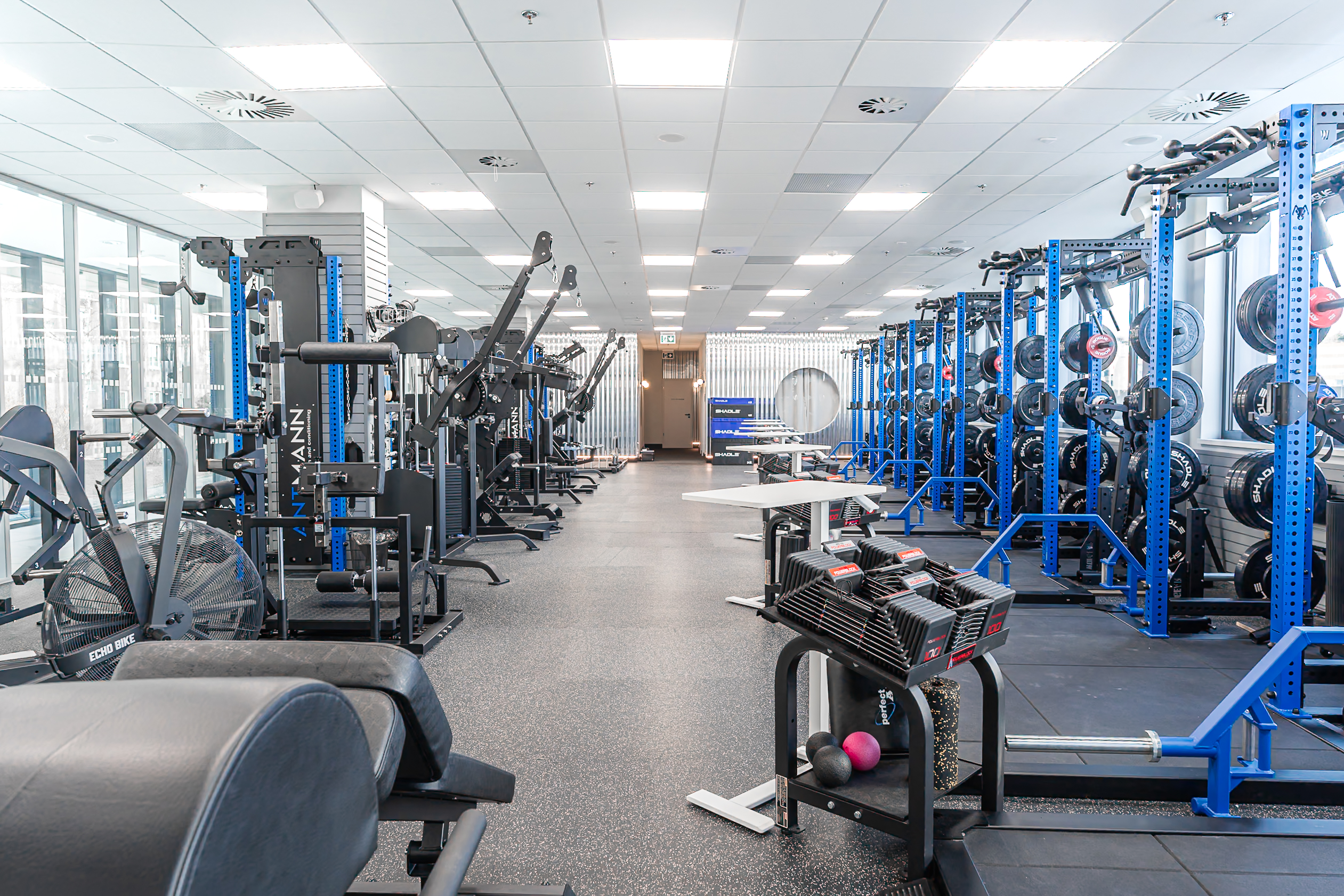 Antmann strength and conditioning foto 5