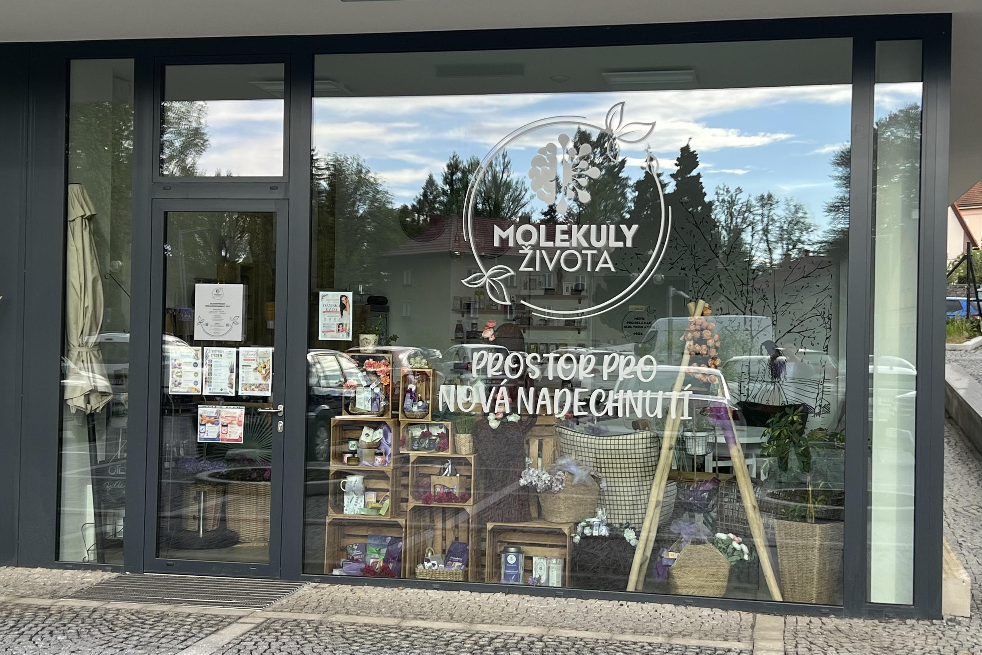 MOLEKULY ŽIVOTA