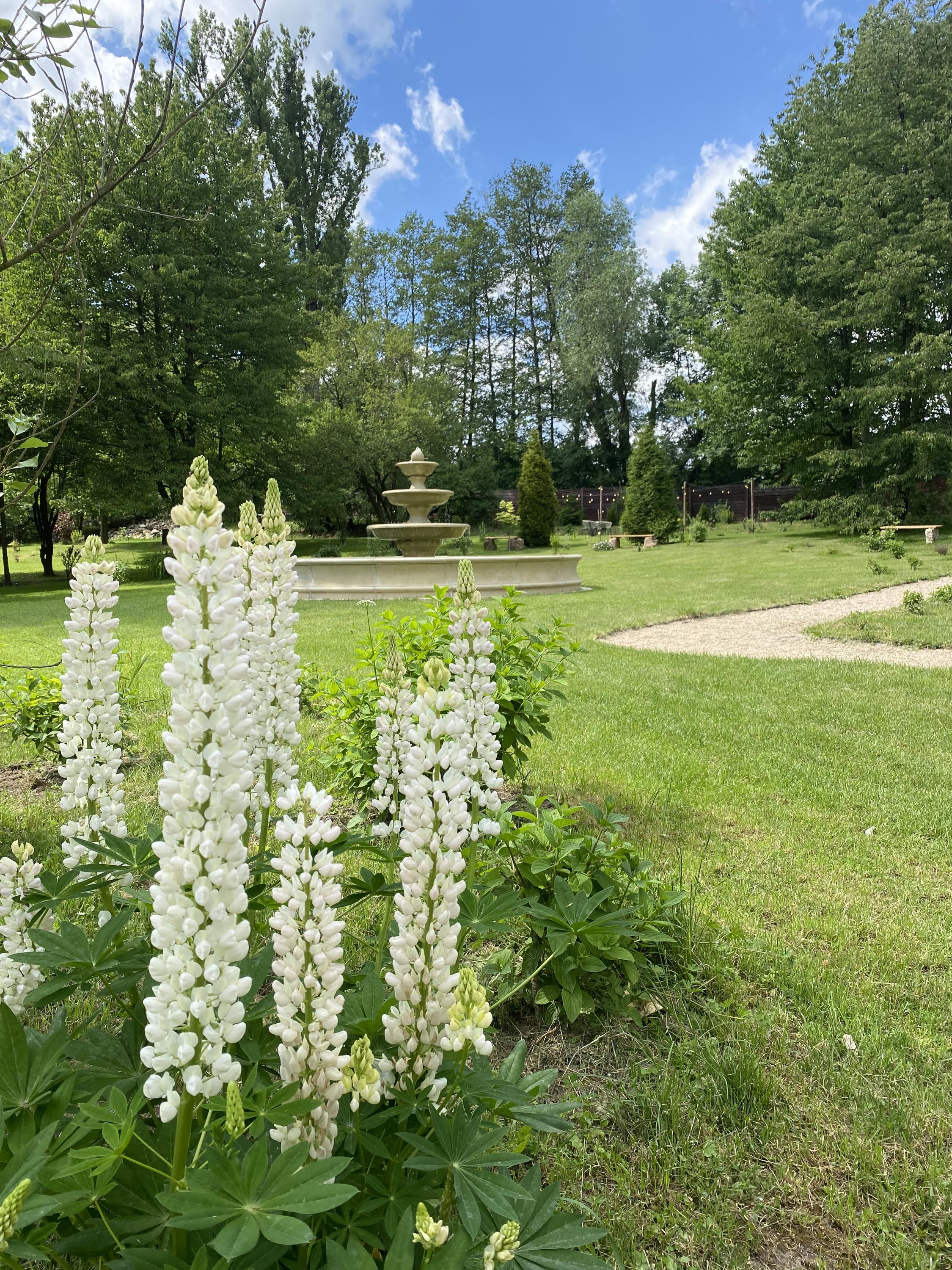 Celestia House foto 1