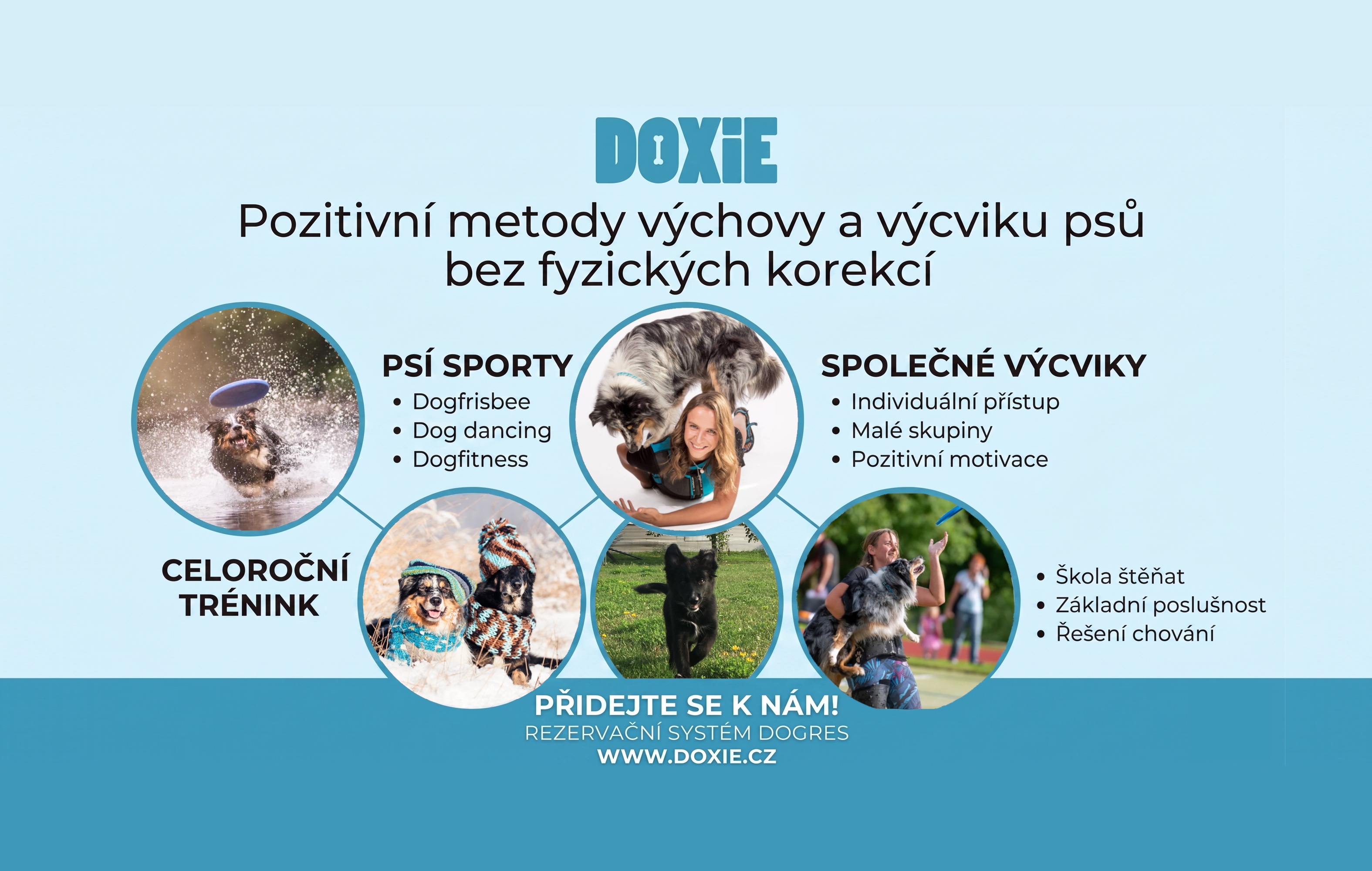 DOXIE foto 2