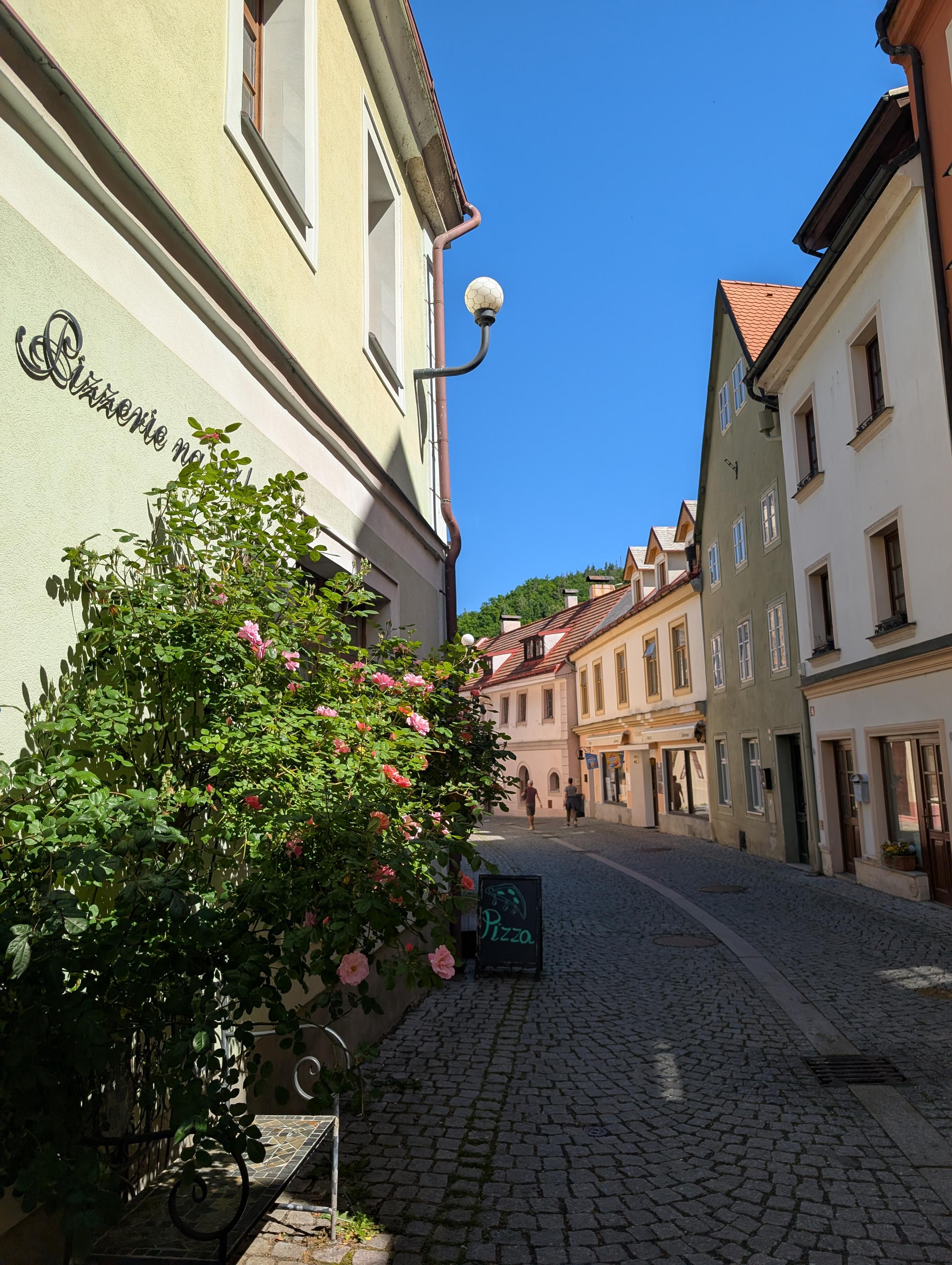 Pizzerie Na Růžku foto 5