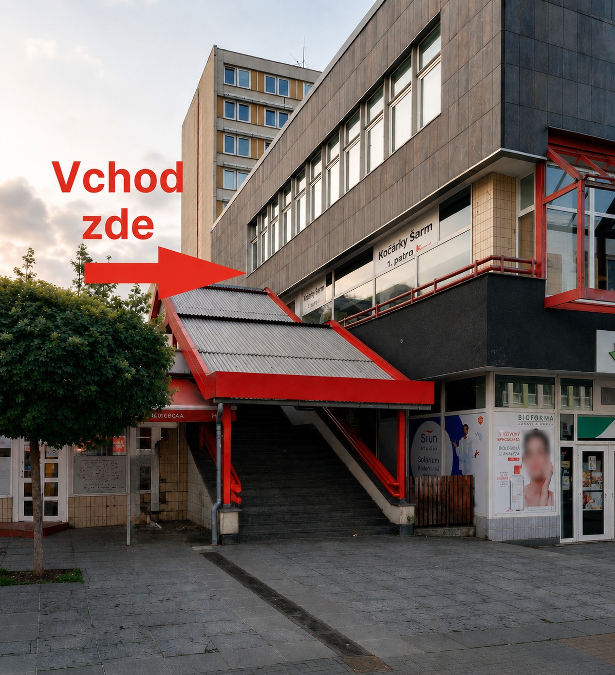 Kocarkysarm.cz foto 2