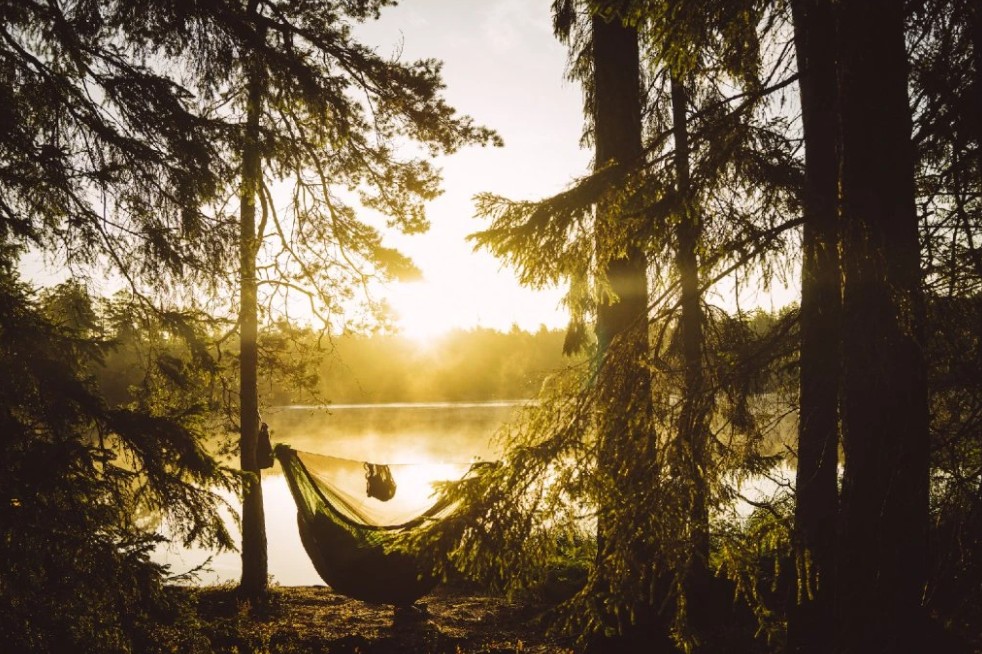Nomadnest.store foto 2