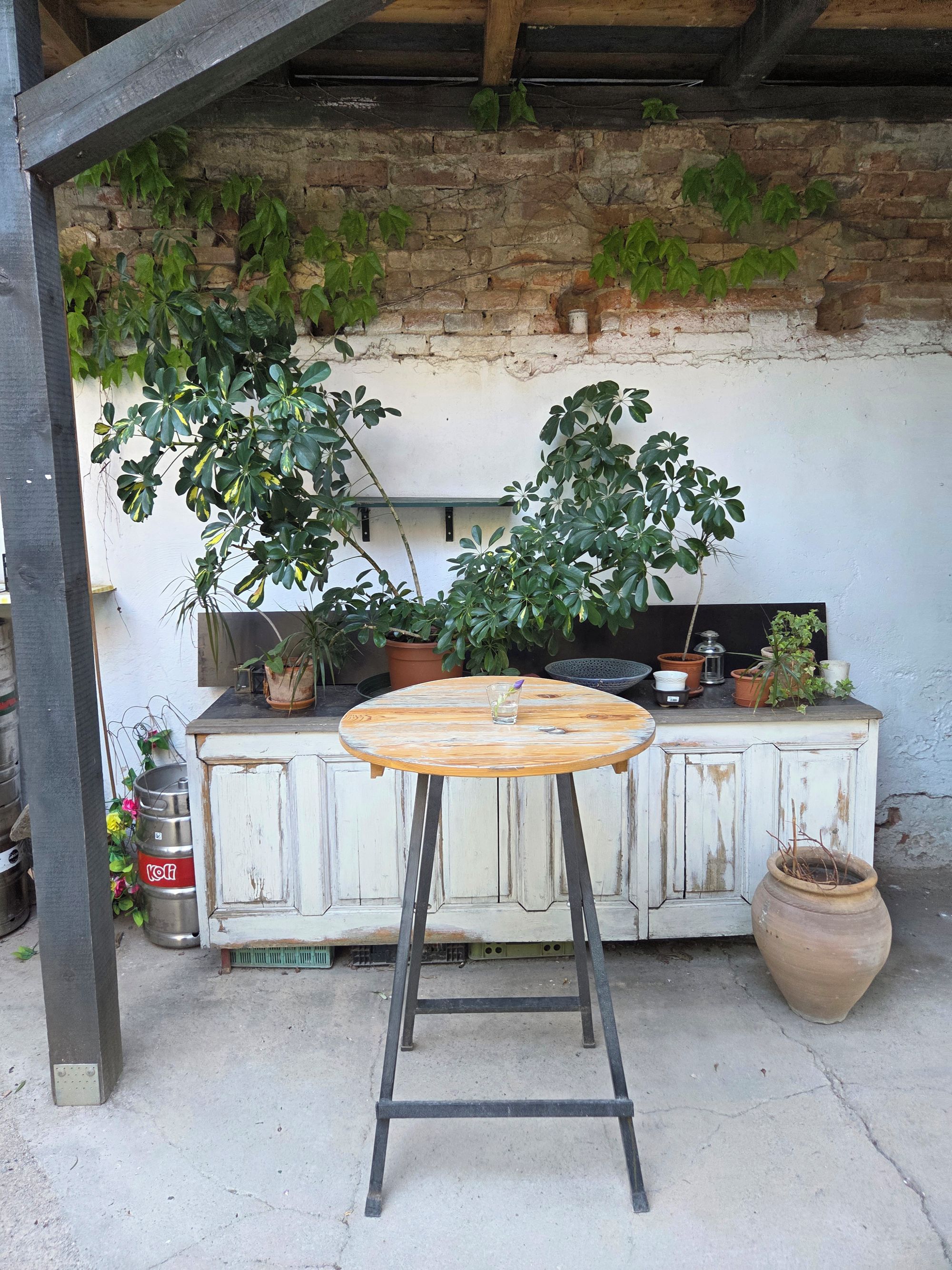 Vršovická zahrada bistro foto 1