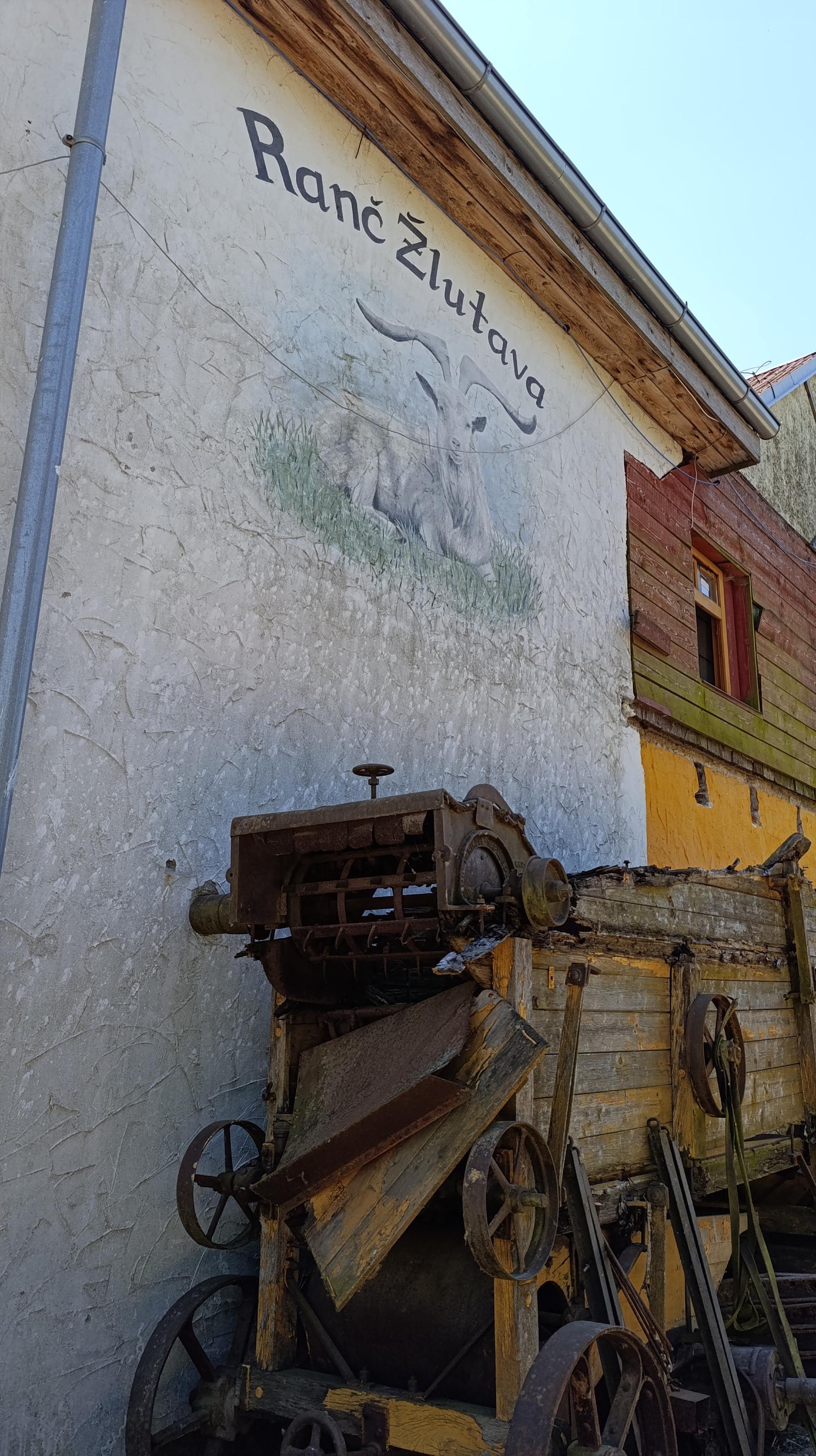 Farma Žlutava foto 4