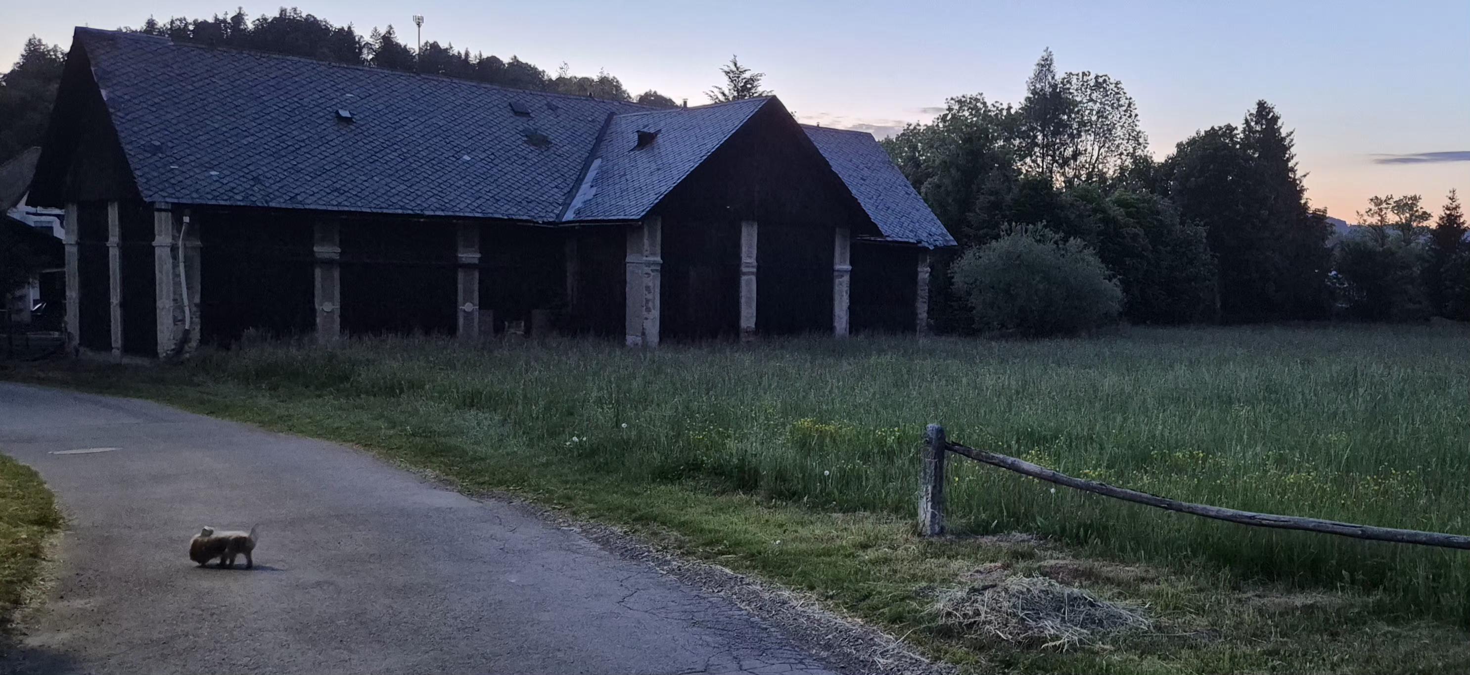 Ubytování U Netopilů foto 4