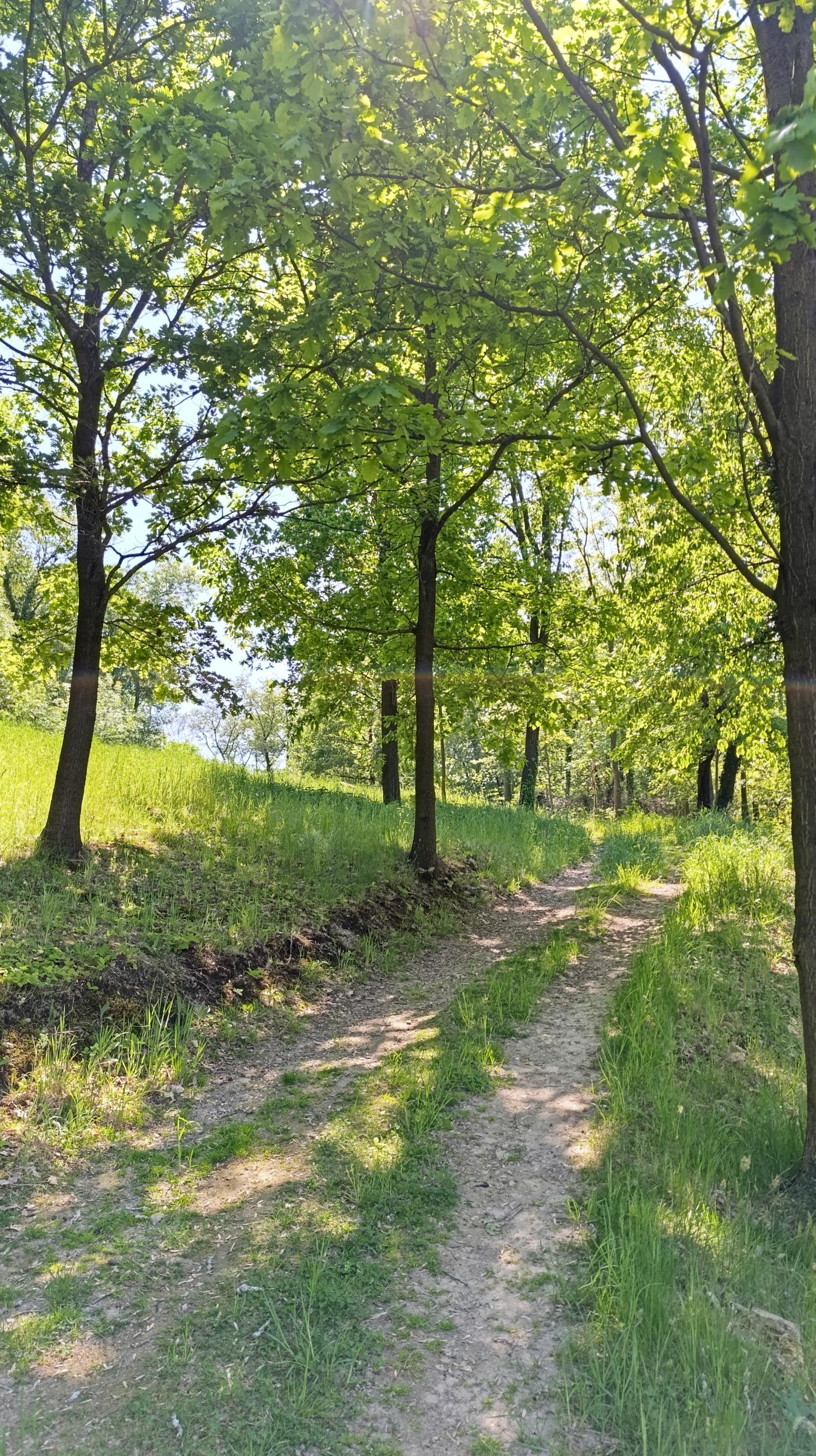 Sběrný dvůr Žlutava foto 1