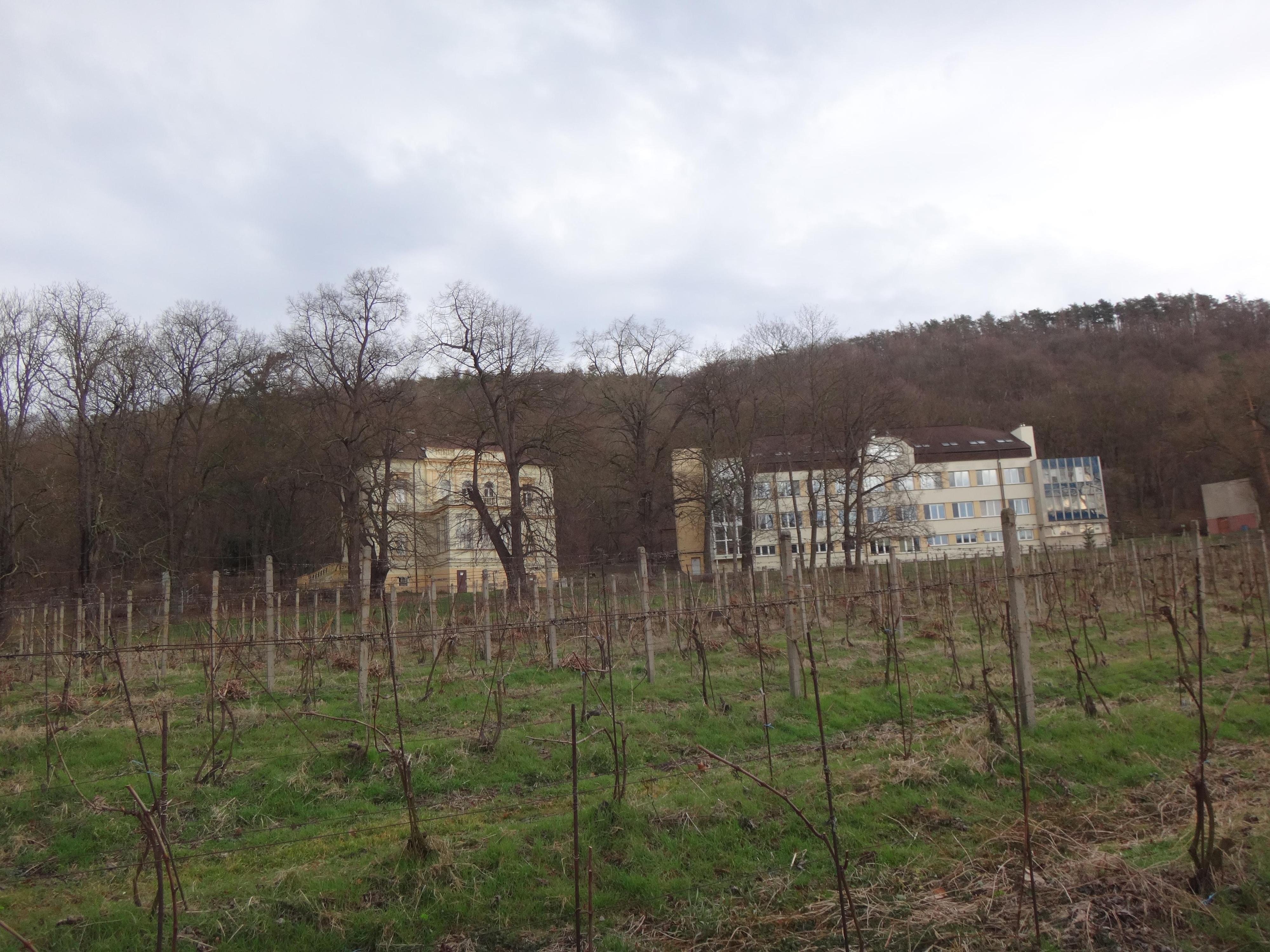 Výzkumný ústav včelařský, s.r.o. foto 3