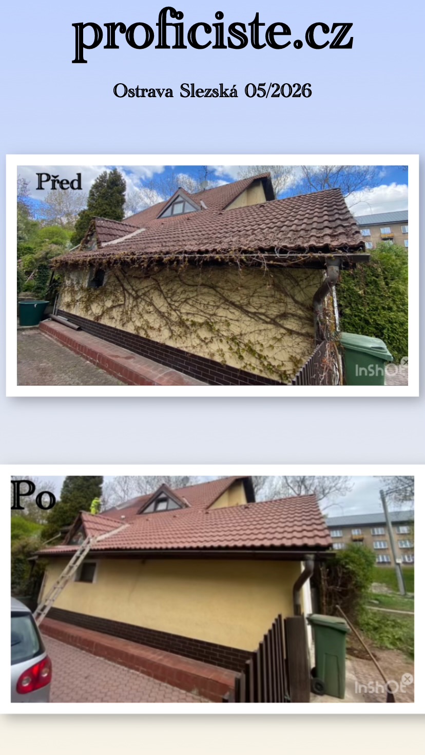 Proficiste.cz foto 2
