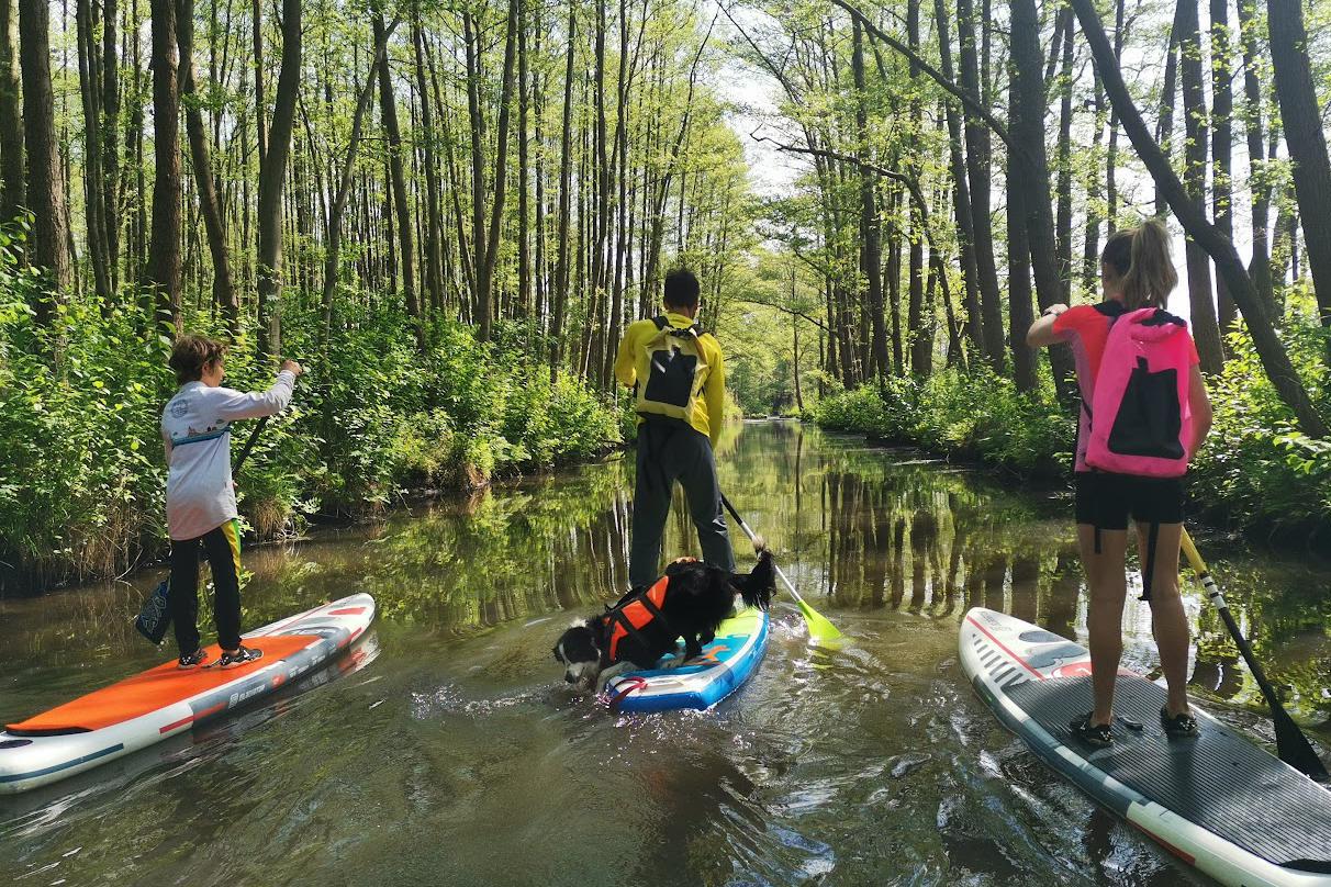 Výlety po řece na paddleboardu vhodné pro každého
