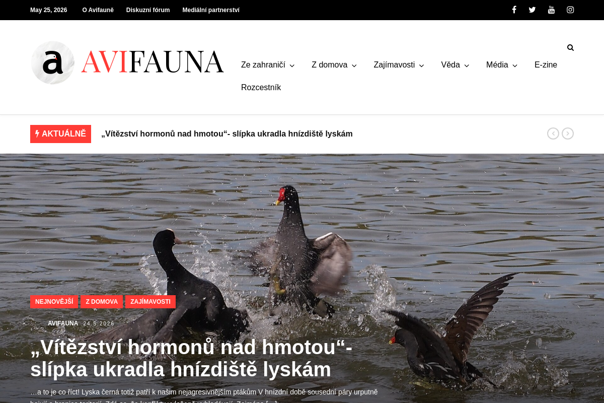 Avifauna.cz