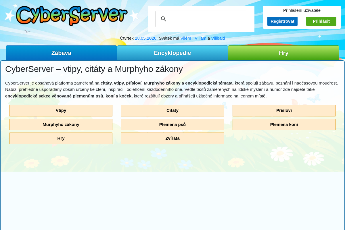 CyberServer