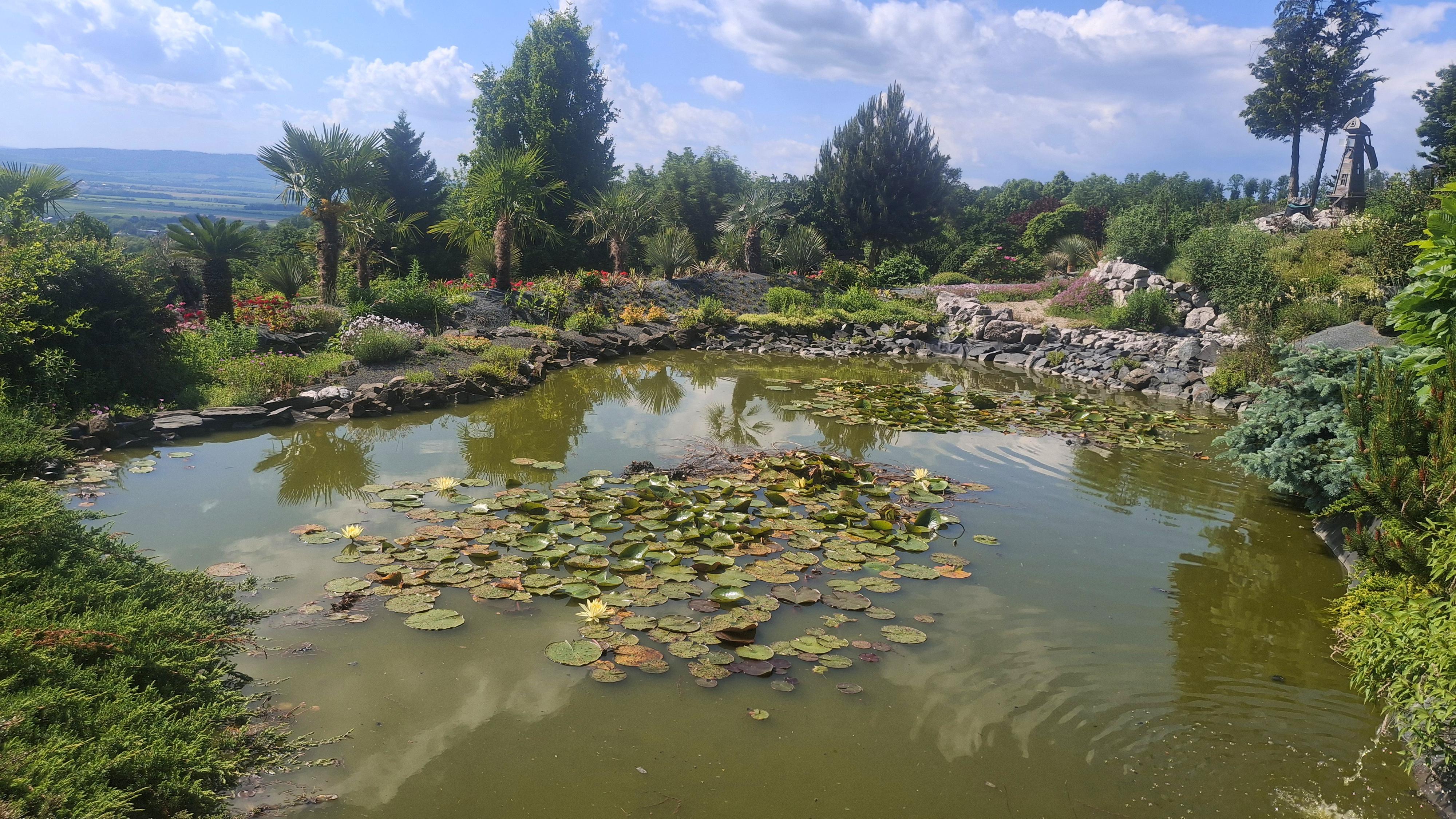 Ing. Radim Slabý - Arboretum Makču Pikču foto 3