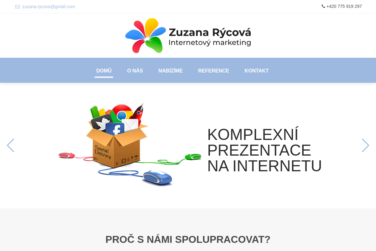 Internetový marketing - Zuzana Rýcová