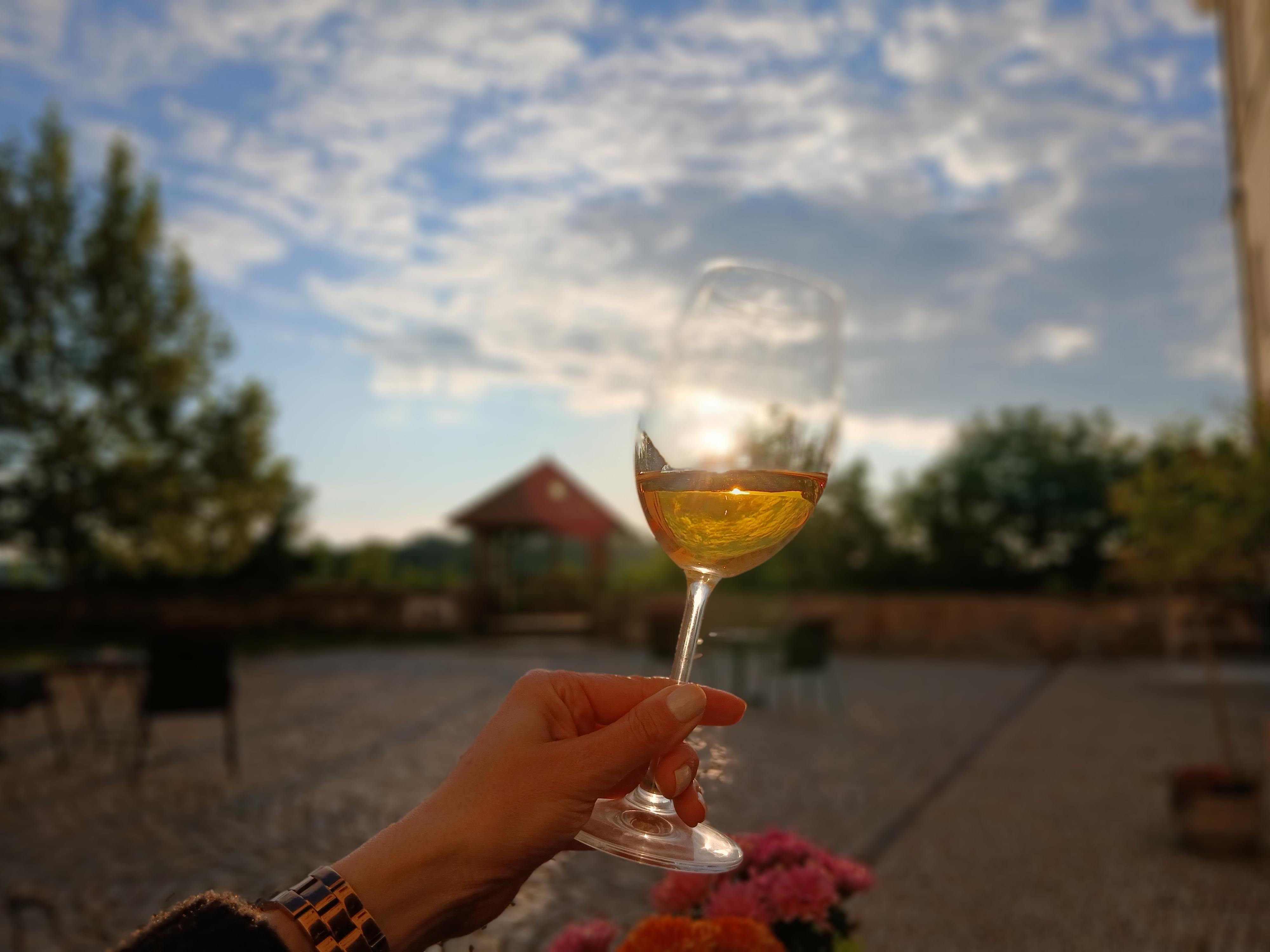 Vinárna U Kaplana foto 2