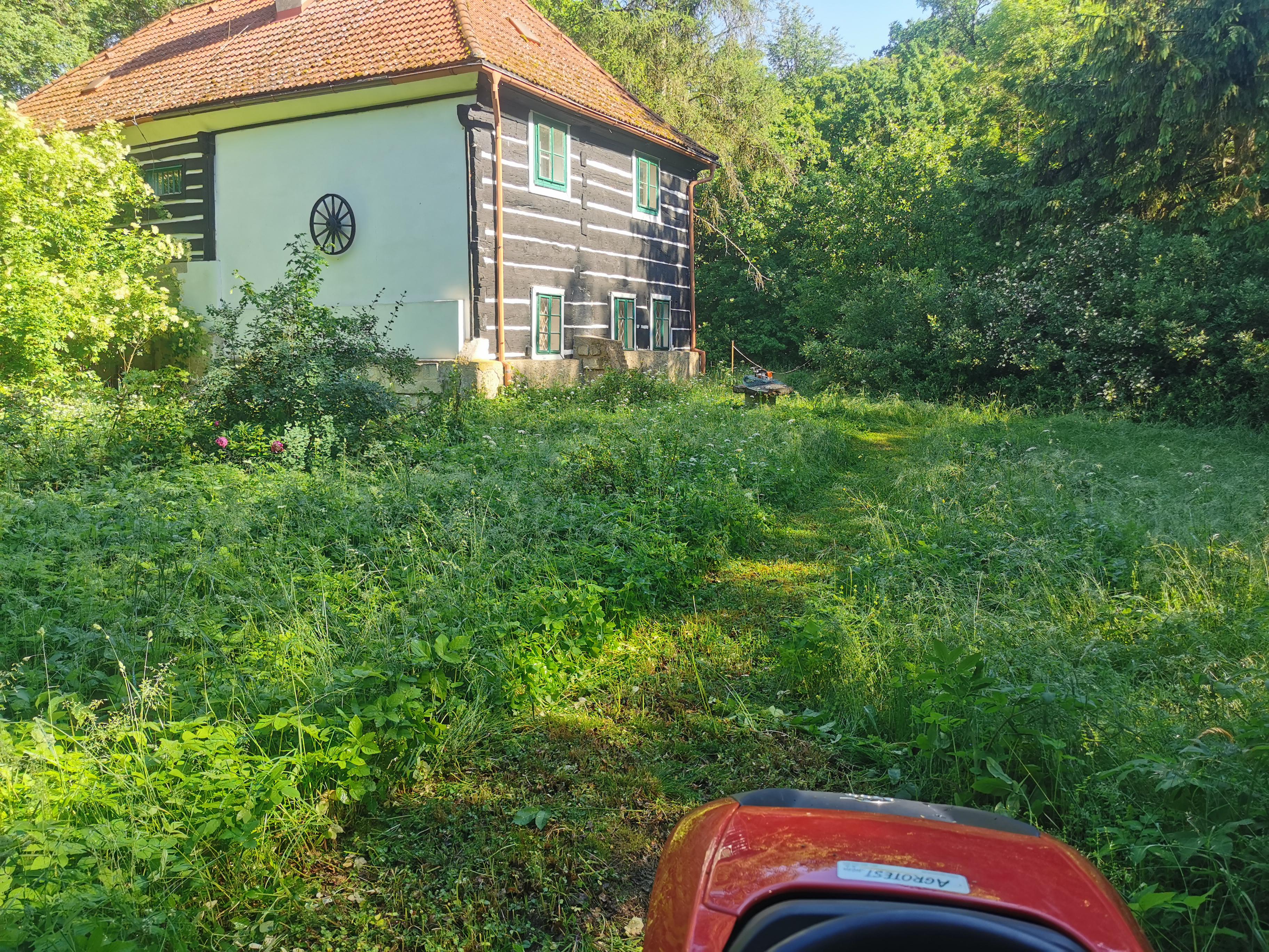 Aleš Smolař - údržba zeleně foto 5