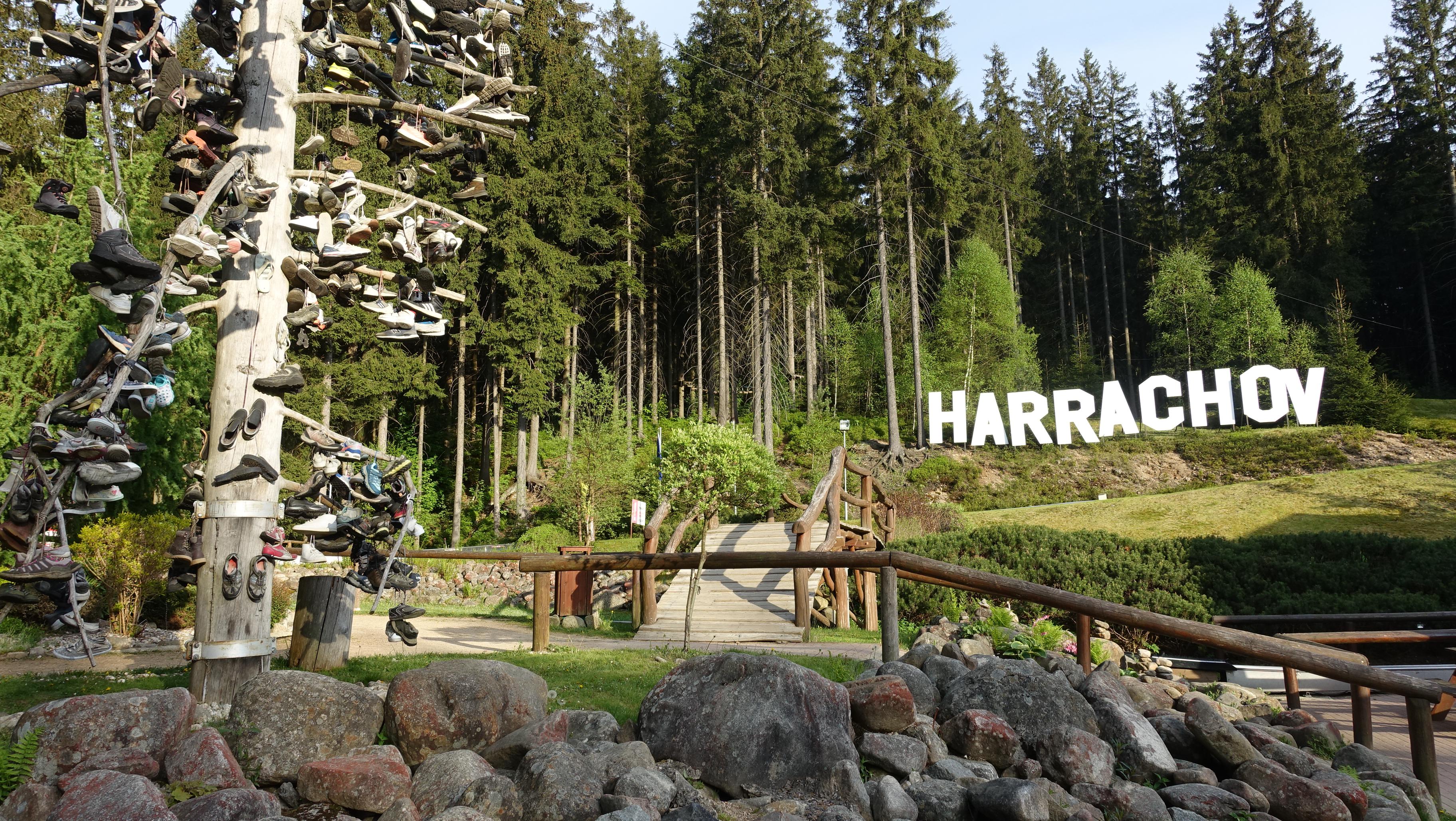 BOBOVÁ DRÁHA HARRACHOV foto 6