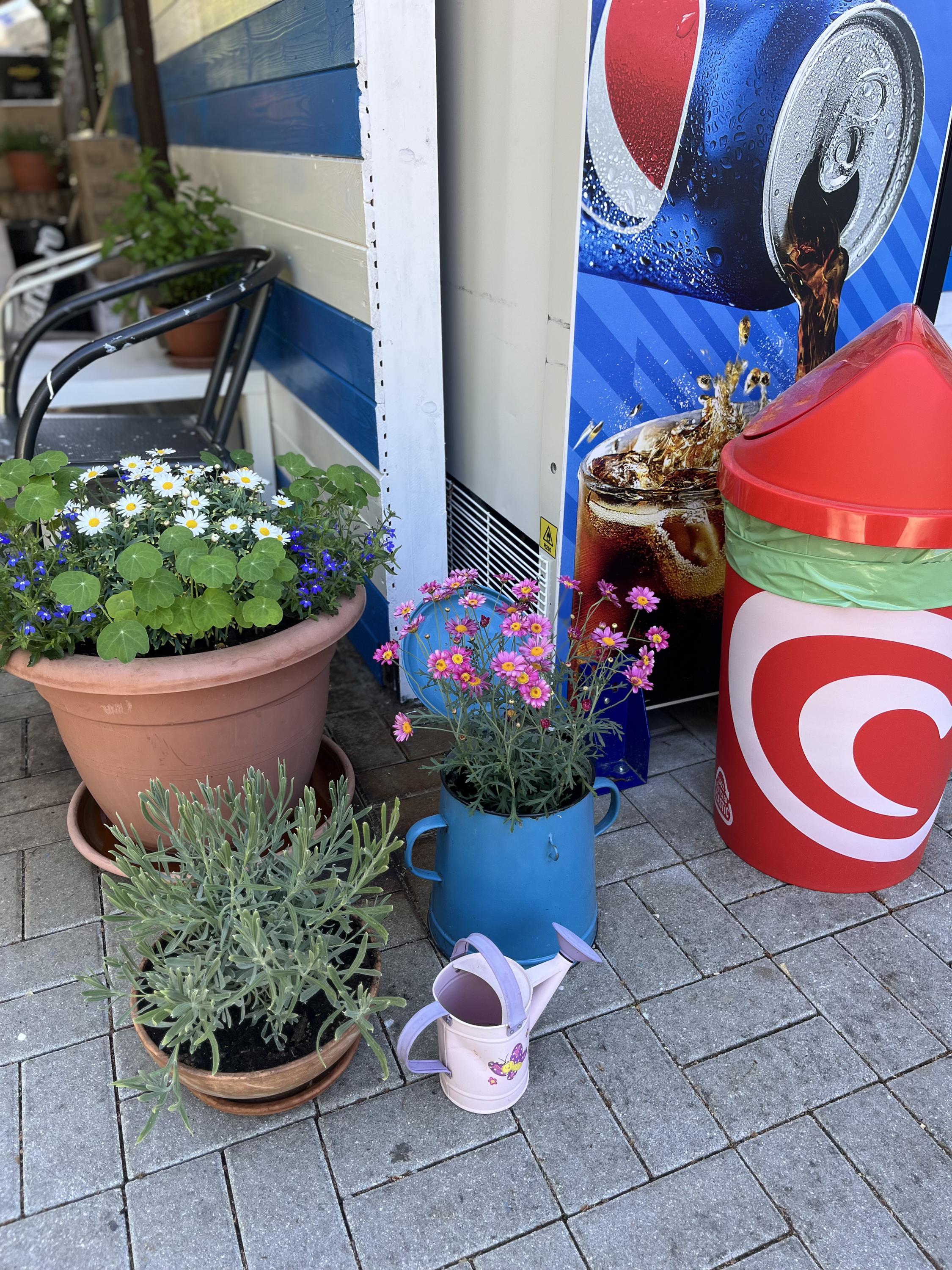 Bistro Kalash foto 5