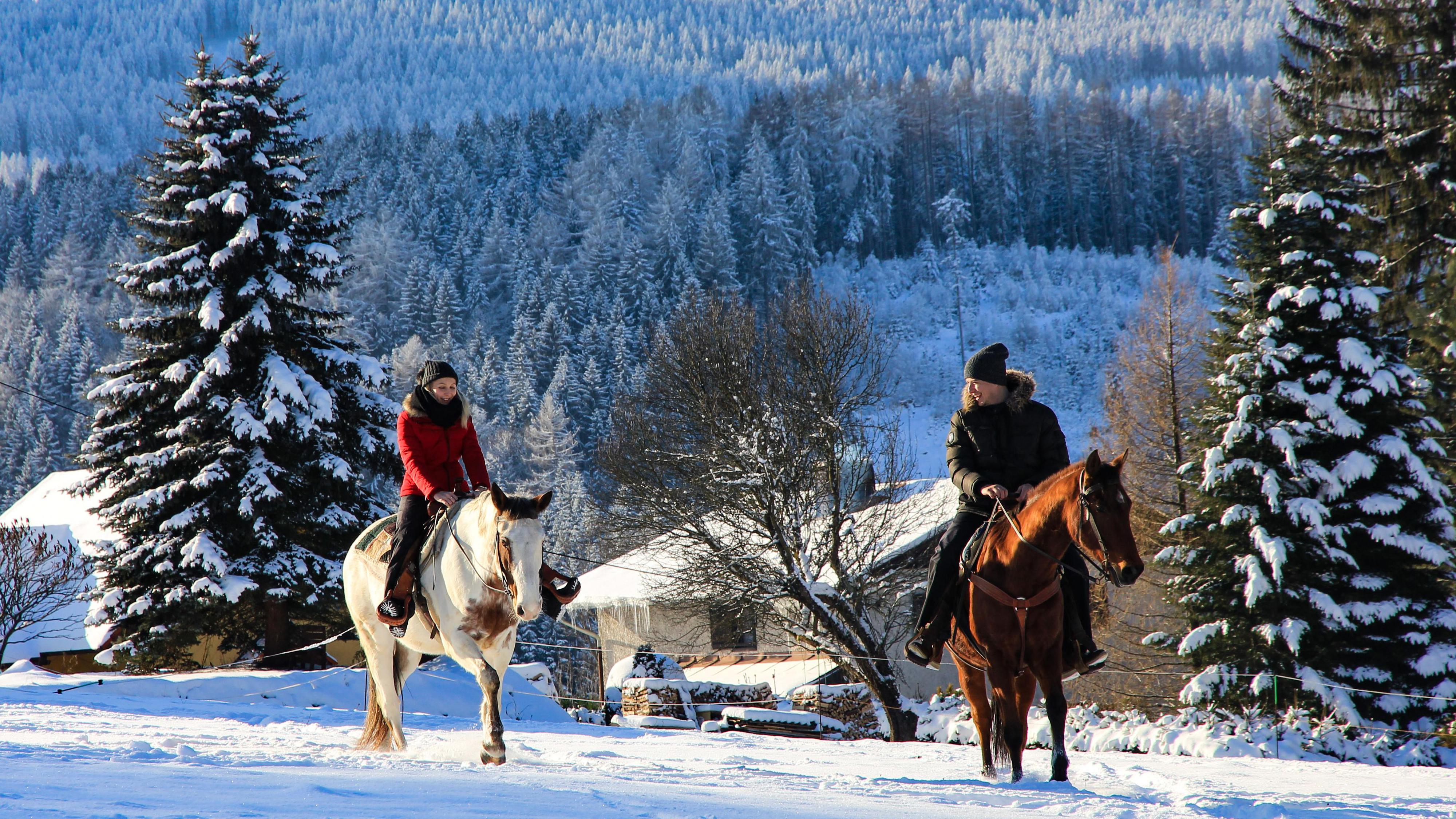 Farmapark Javorná na Šumavě foto 3