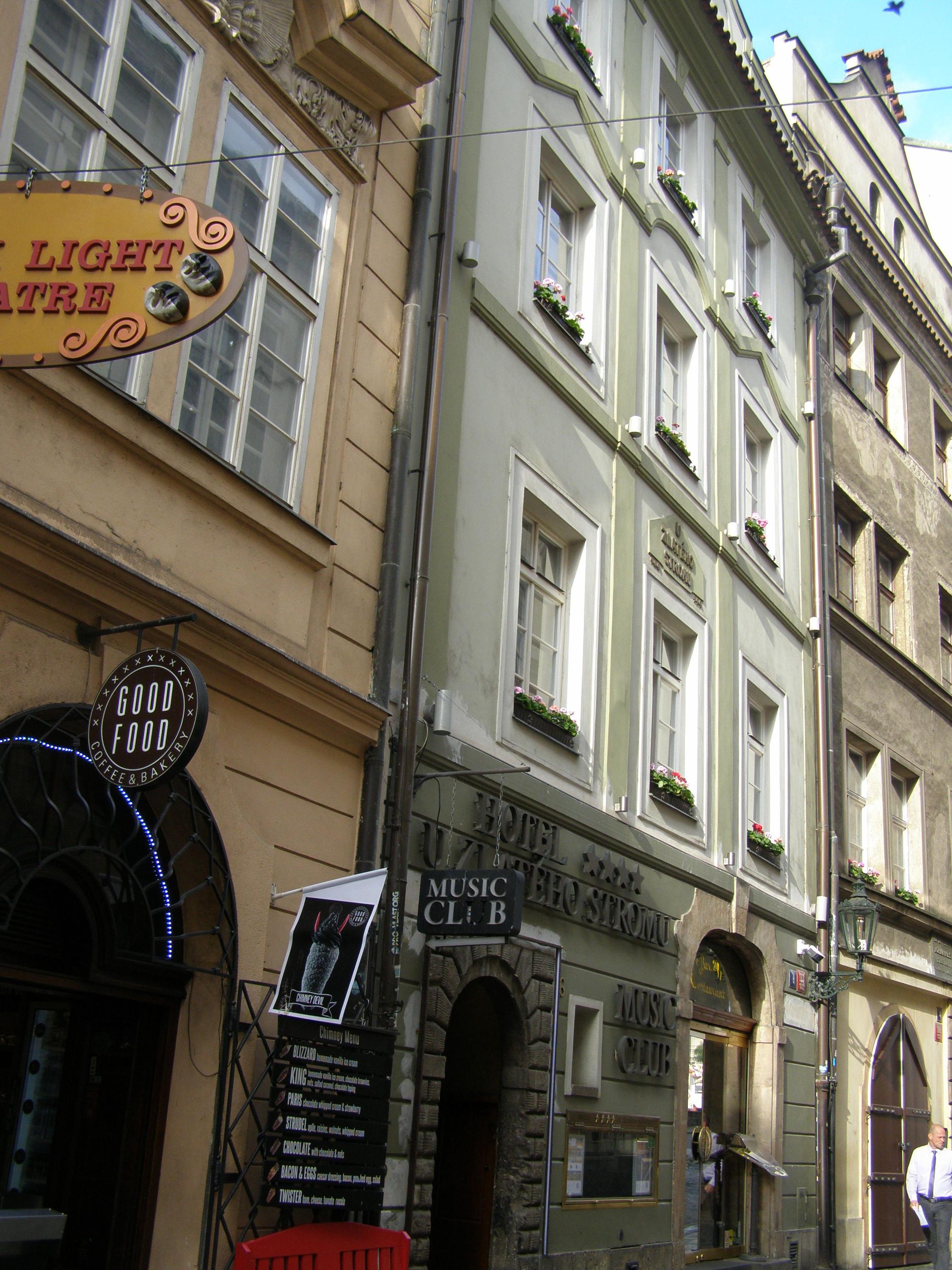 Restaurant Zlatý Strom foto 6