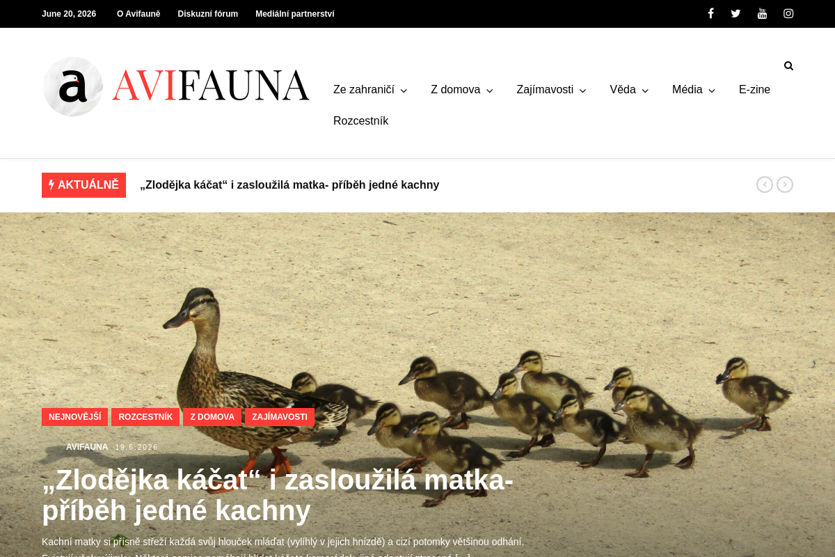 Avifauna.cz
