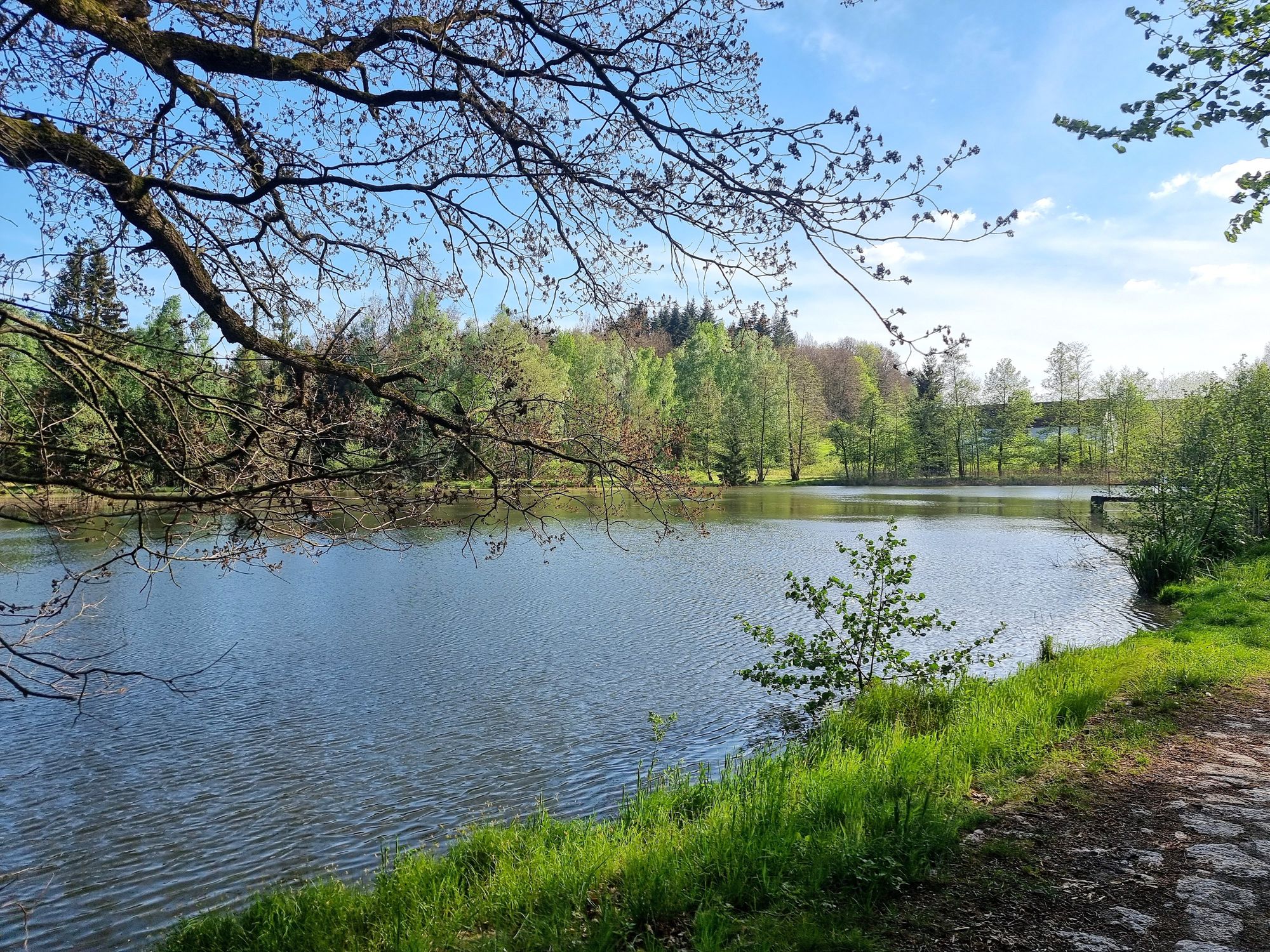 Tábořiště Černousy foto 4