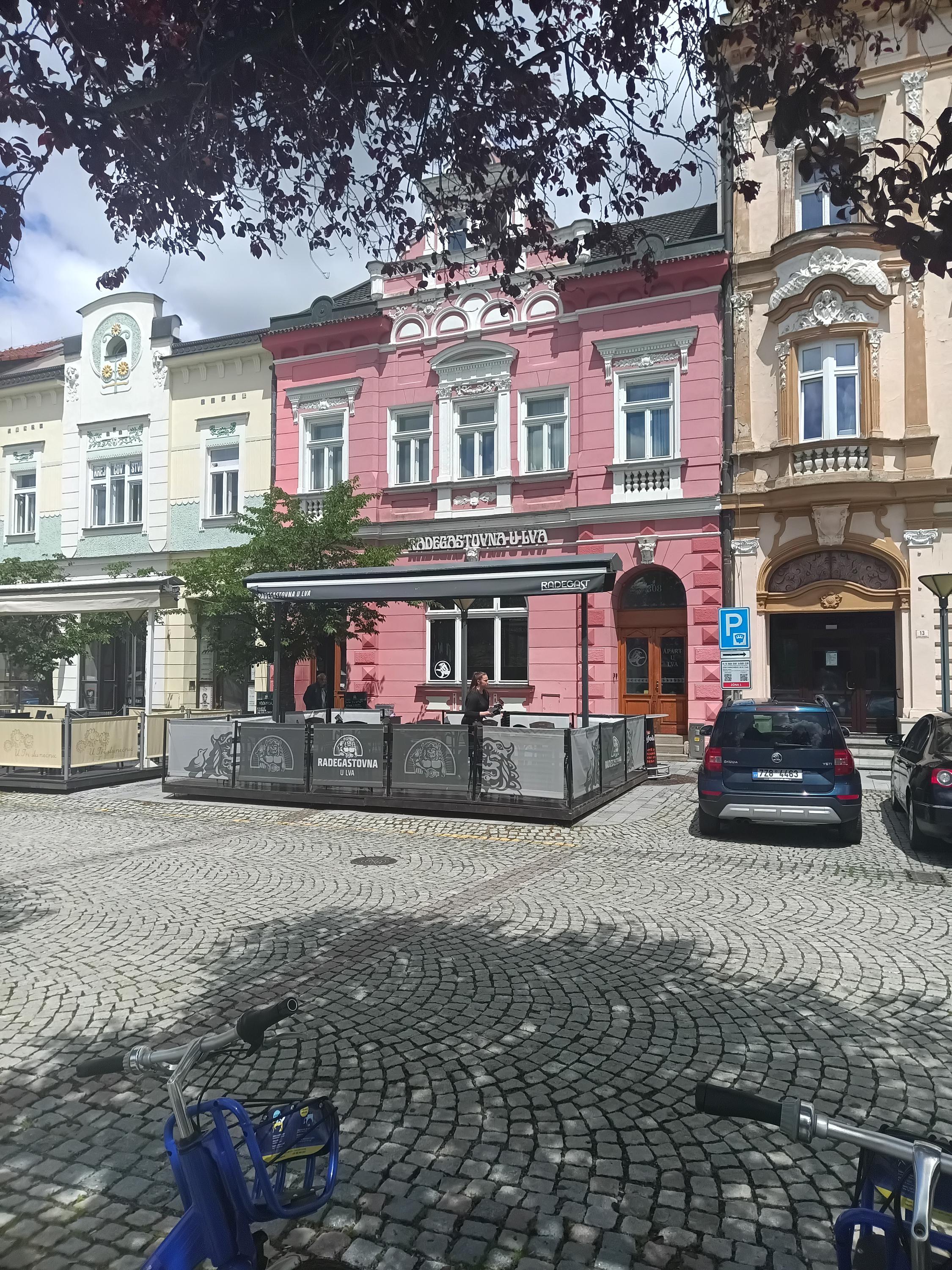 Radegastovna U Lva foto 6