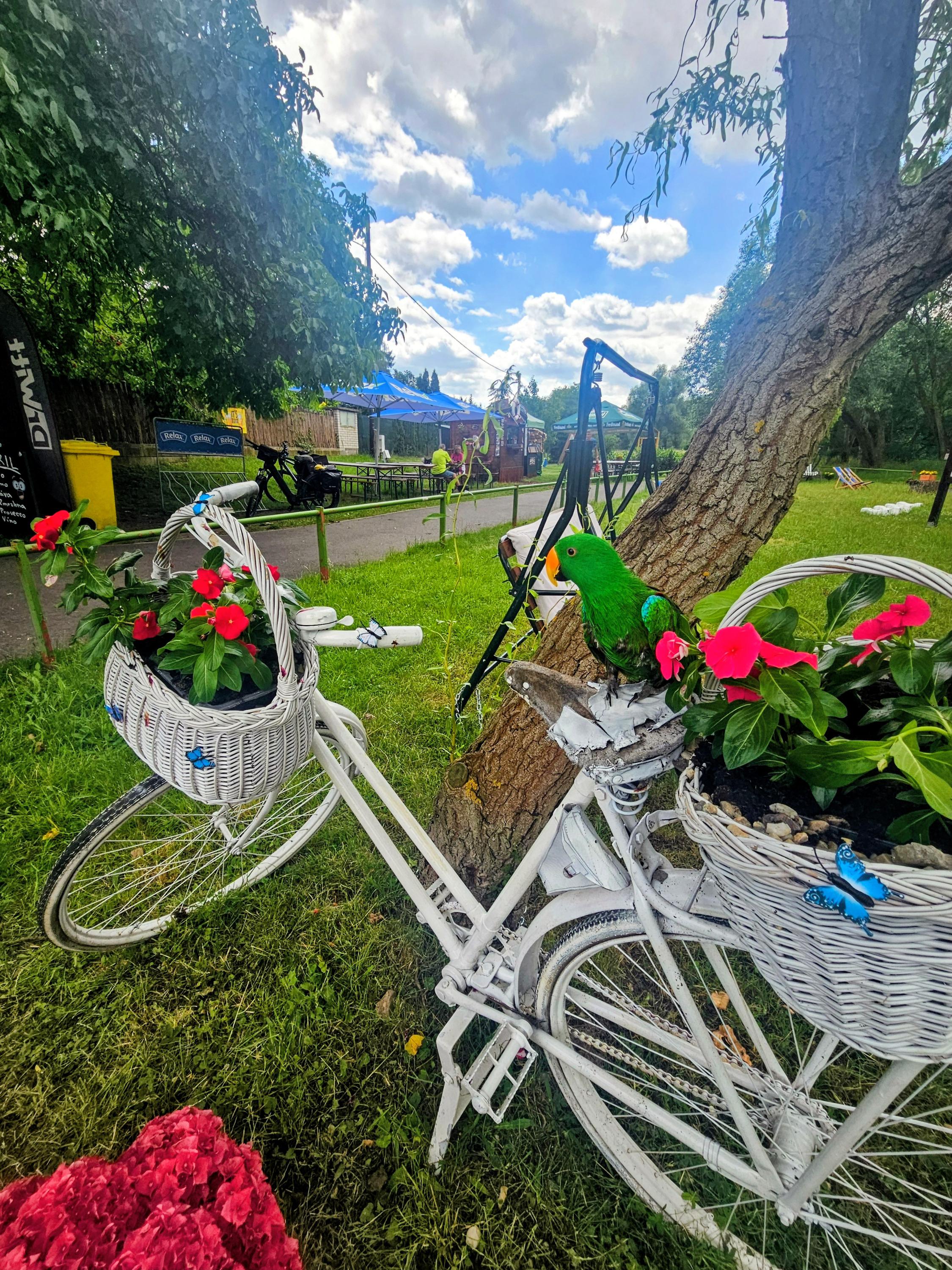 Občerstvení U Plavčíka foto 2