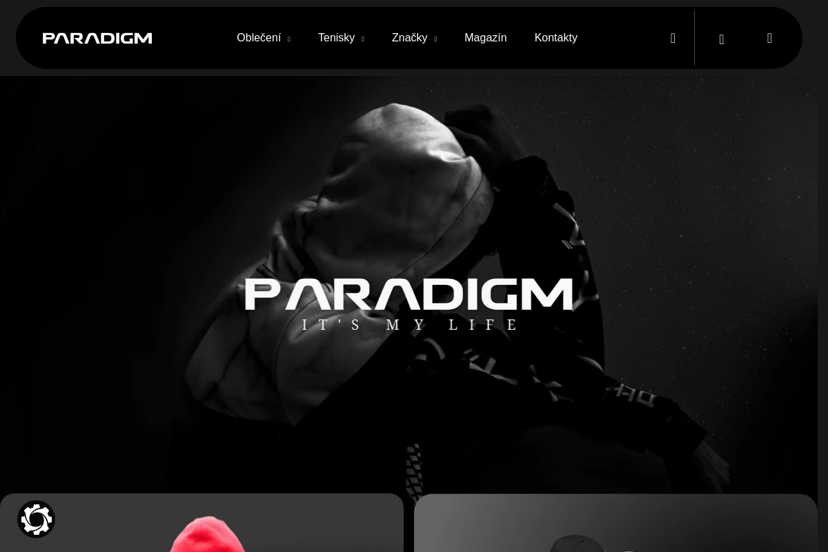 PARADIGM.CZ