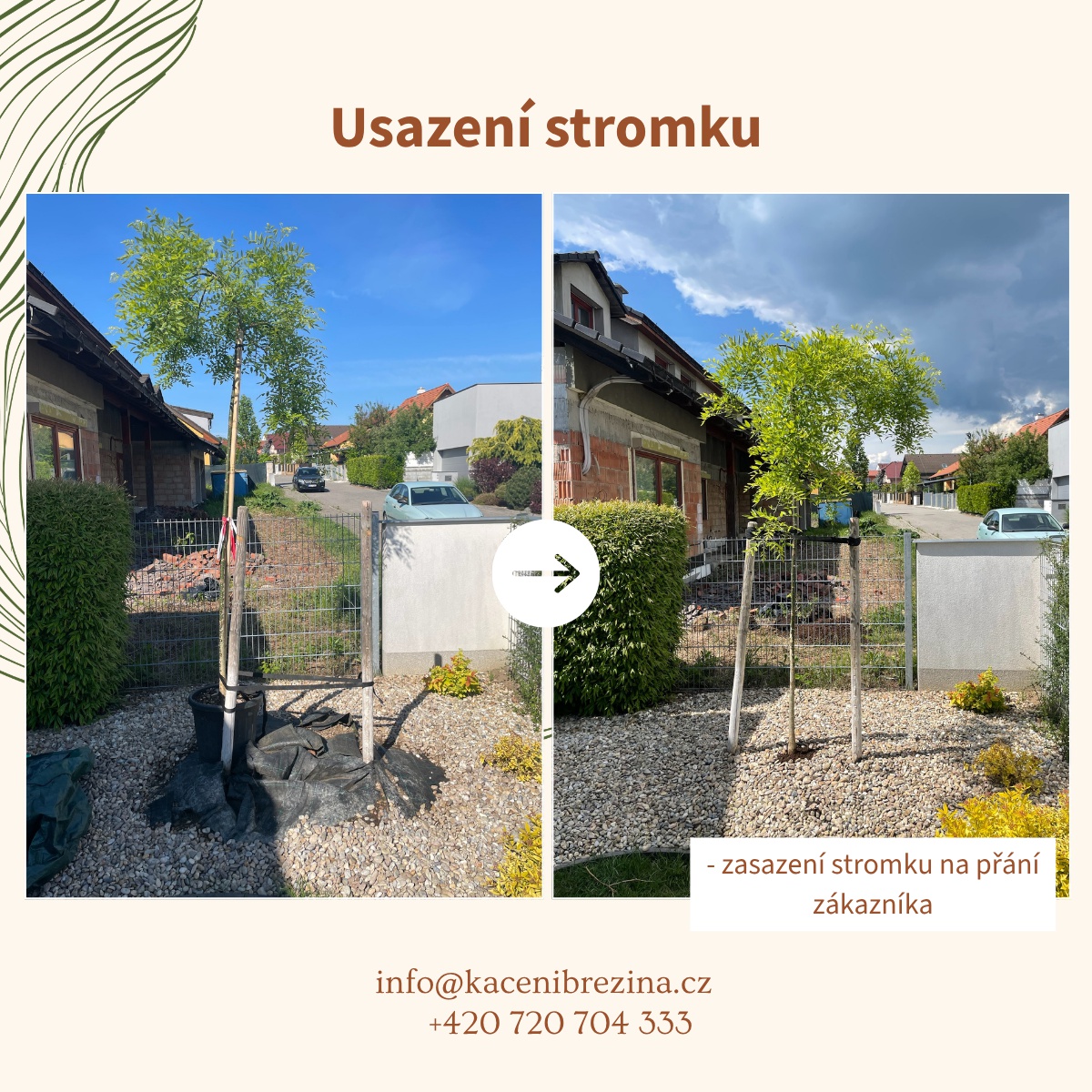 Kácení Březina foto 3