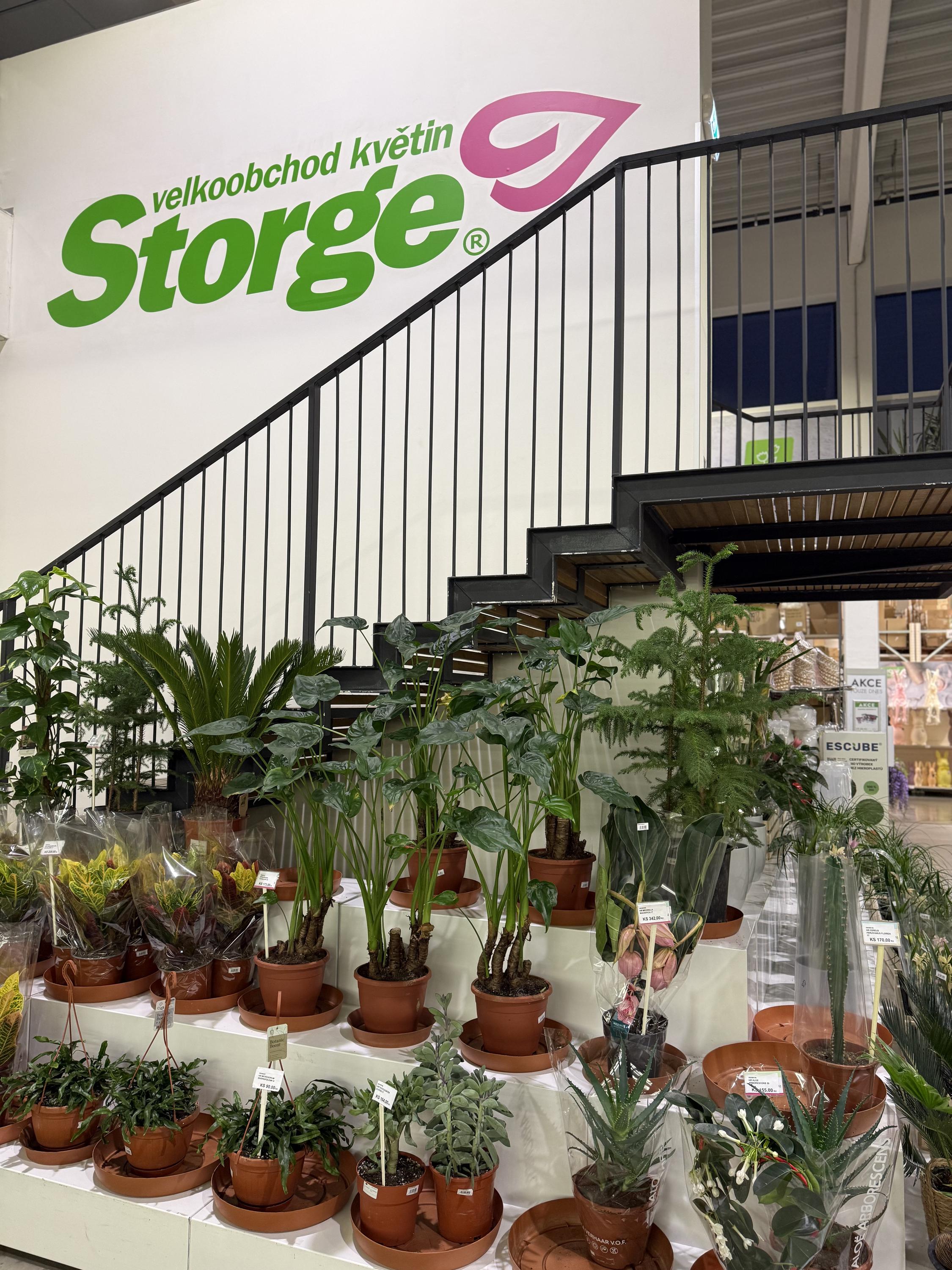 STORGE, s.r.o. foto 2