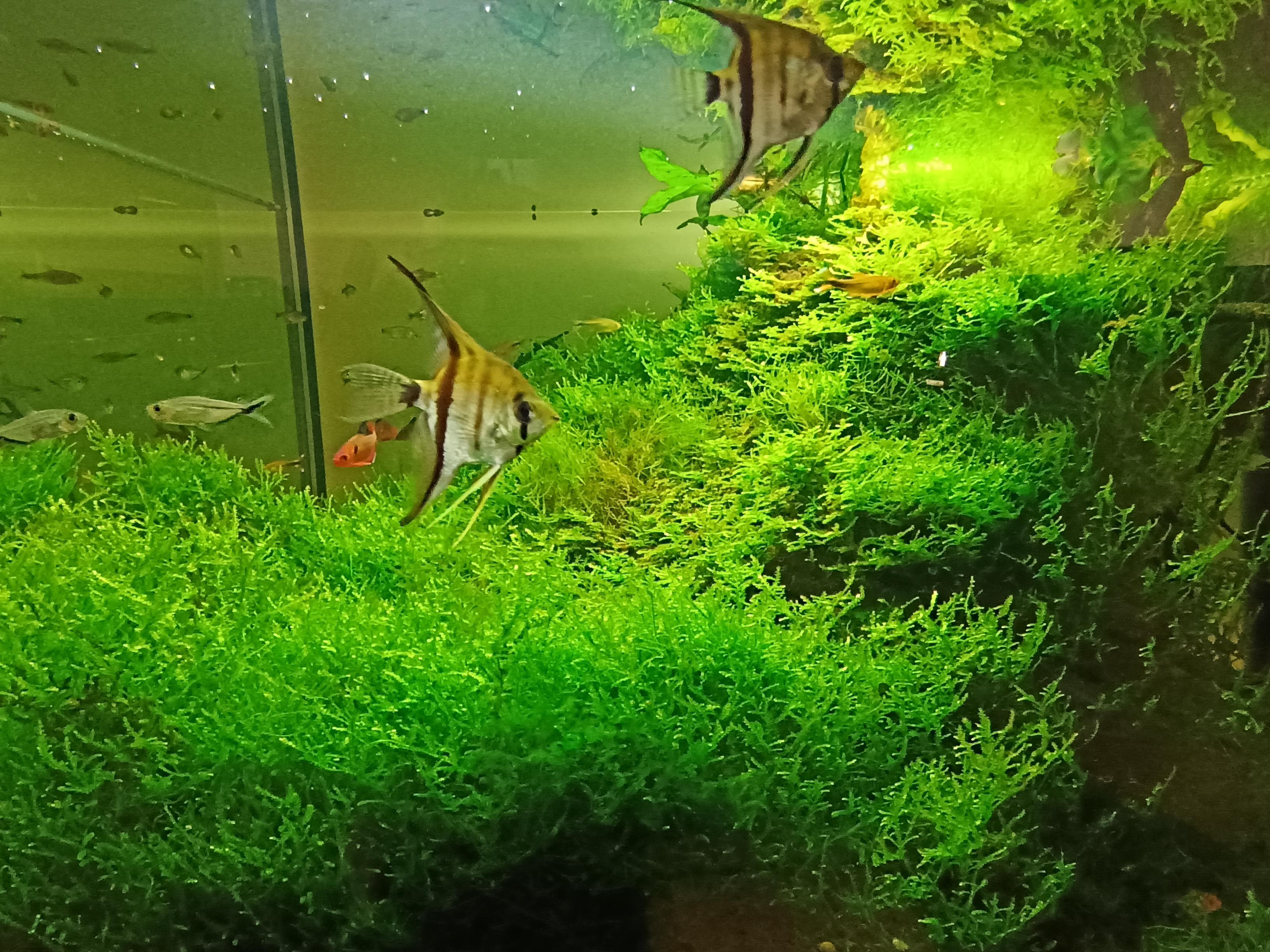 Veřejné akvárium v České Lípě foto 2